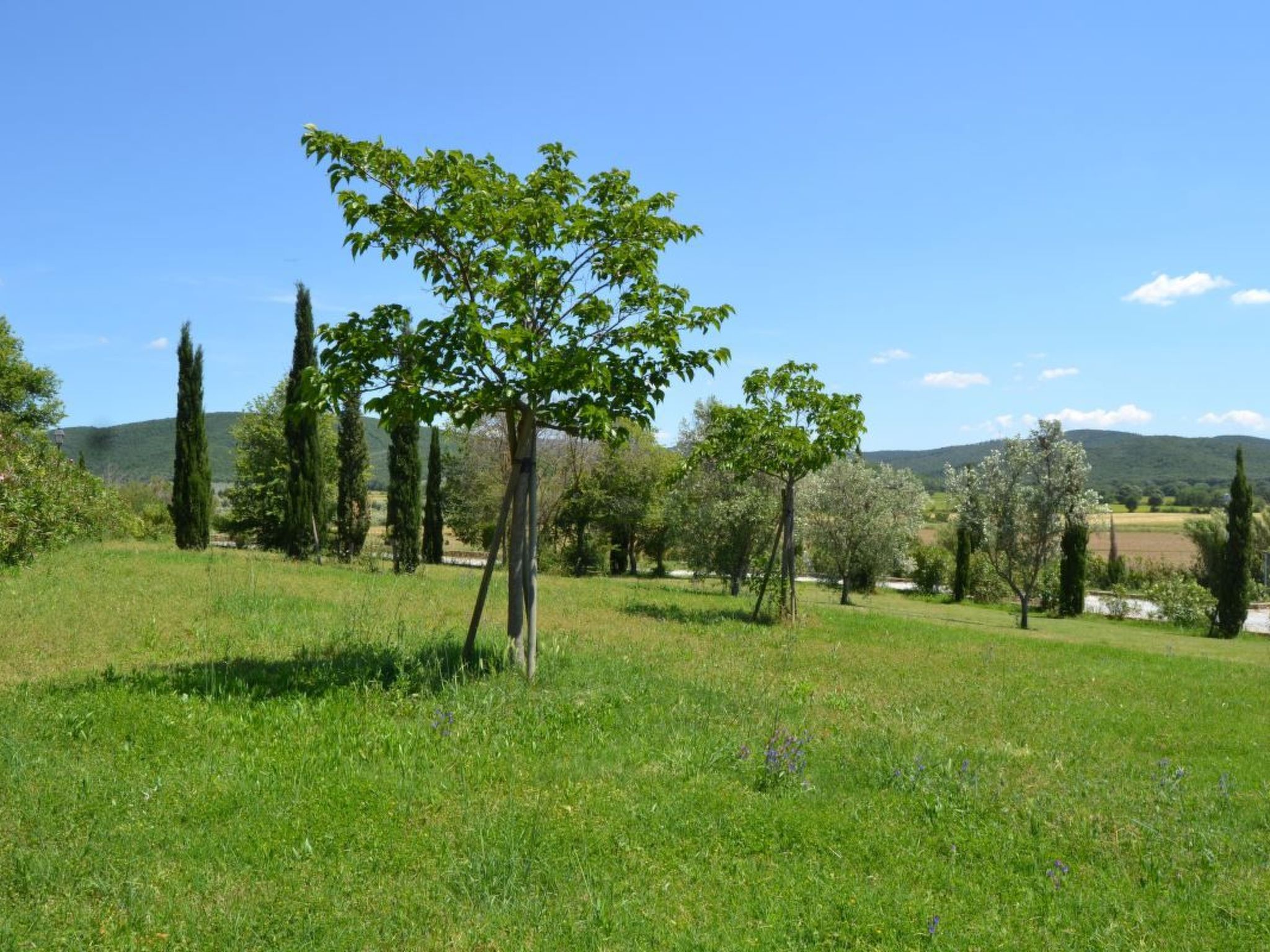 Mit Garten, Grill und Terrasse