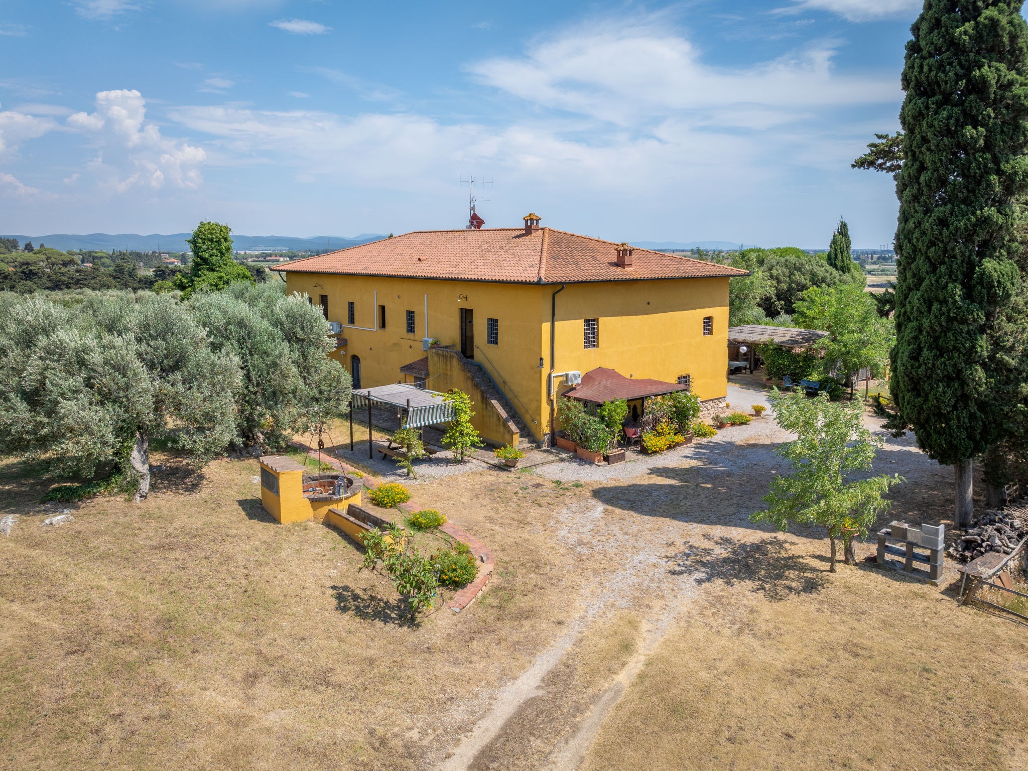 Viola - Buiten