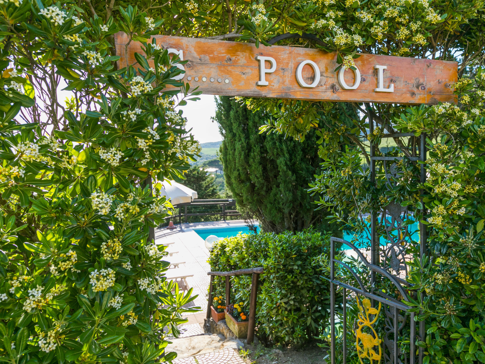 Sea View — Pool Outdoor (4 of 59)