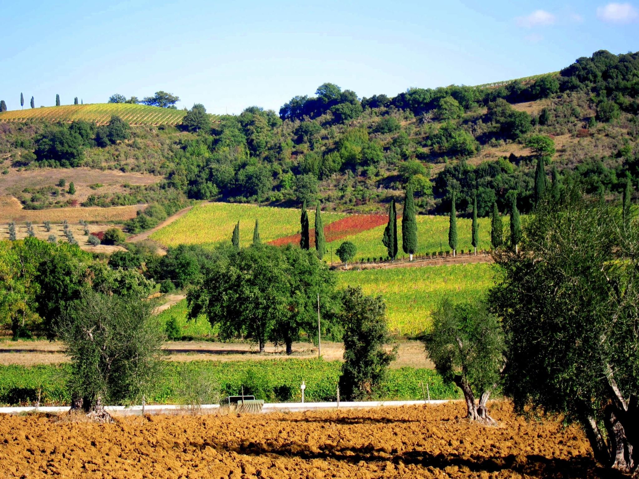 Nachlass "Poggio alla Cavalla"-Binnen