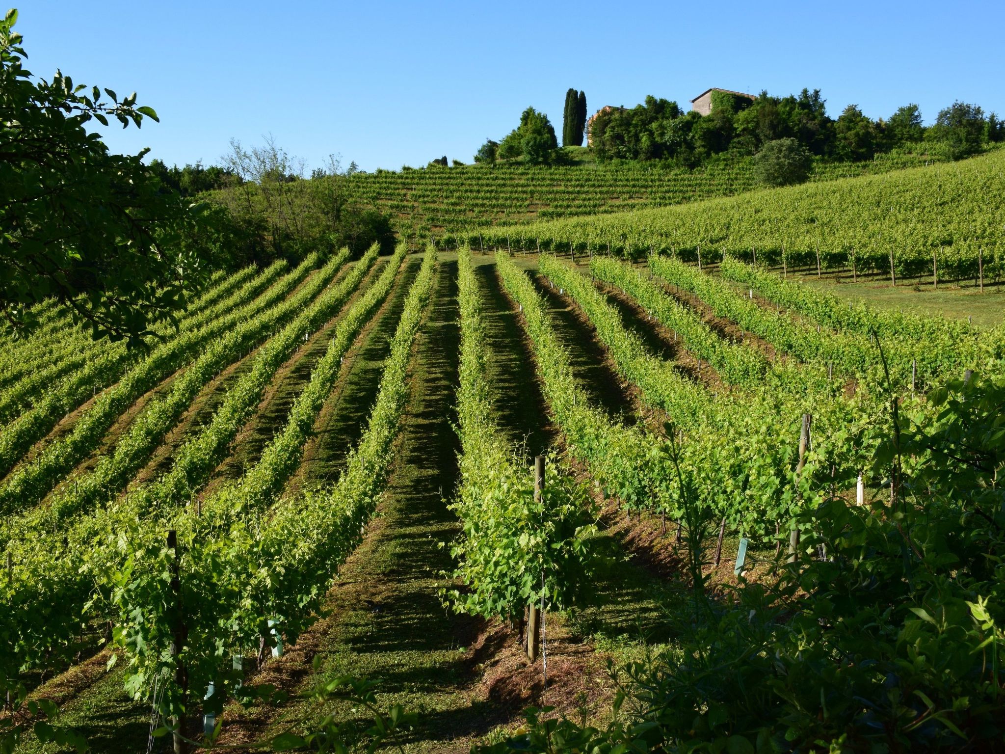 Nachlass "Poggio alla Cavalla"-Binnen