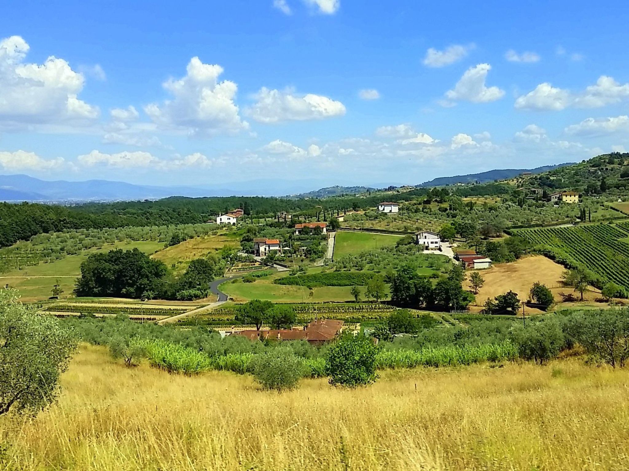 Meisterhaussiedlung mit Schwimmbad-Binnen