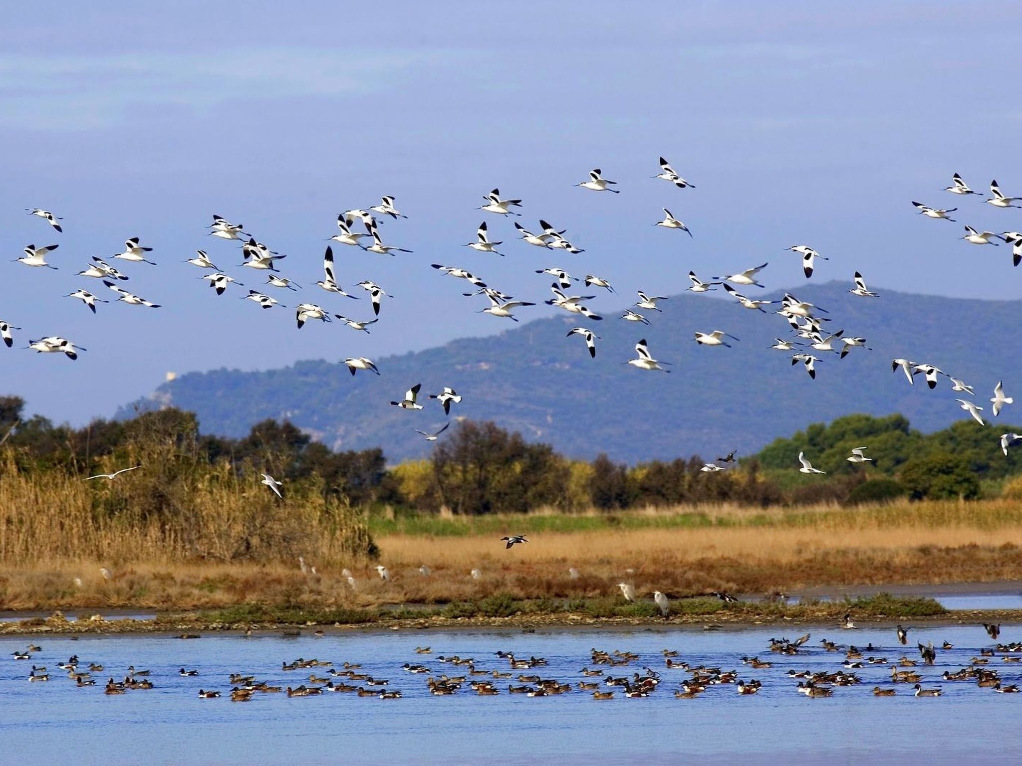 Meisterhaussiedlung mit Schwimmbad-Binnen