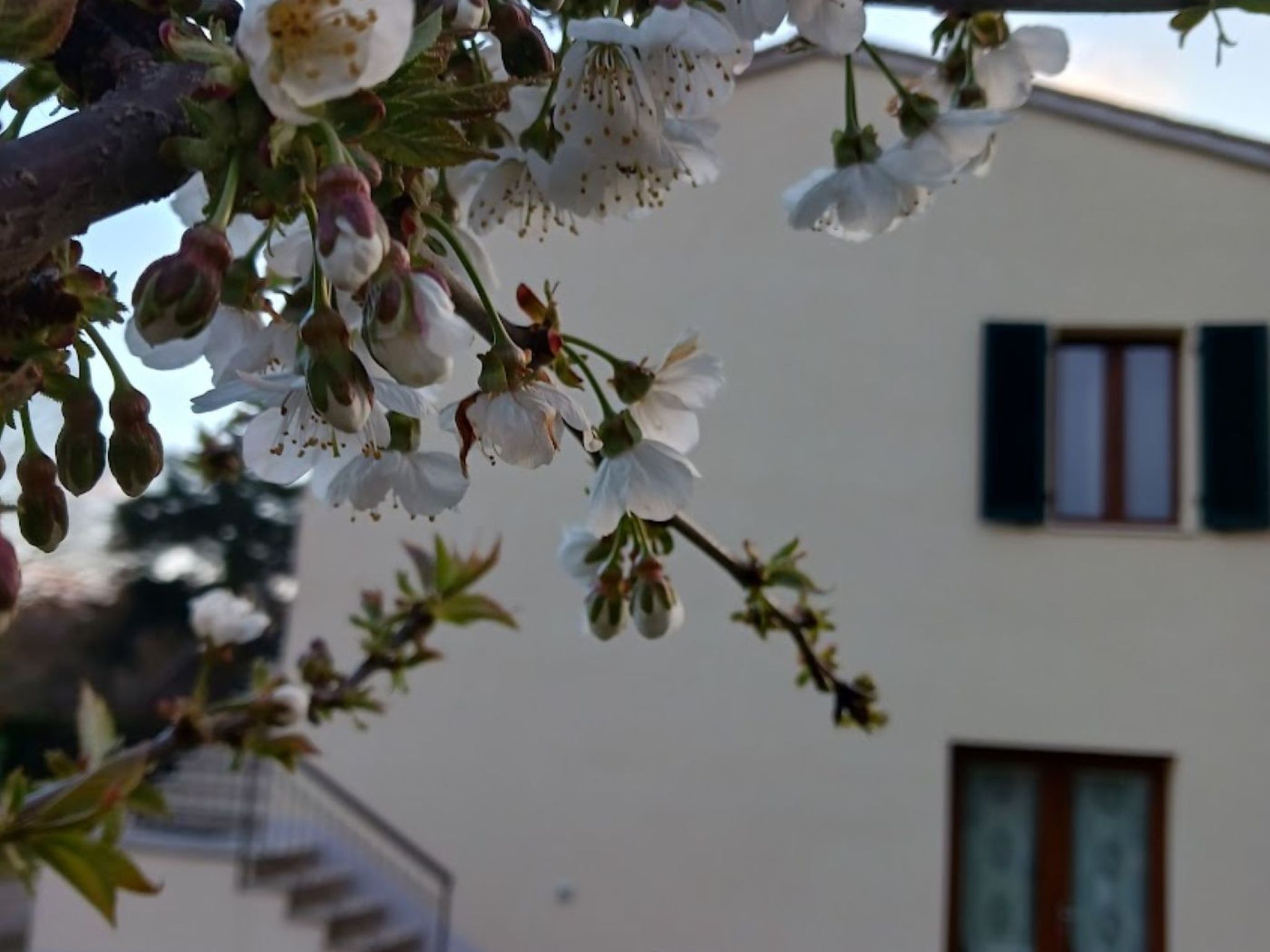 Natur, Komfort und Entspannung-Outside