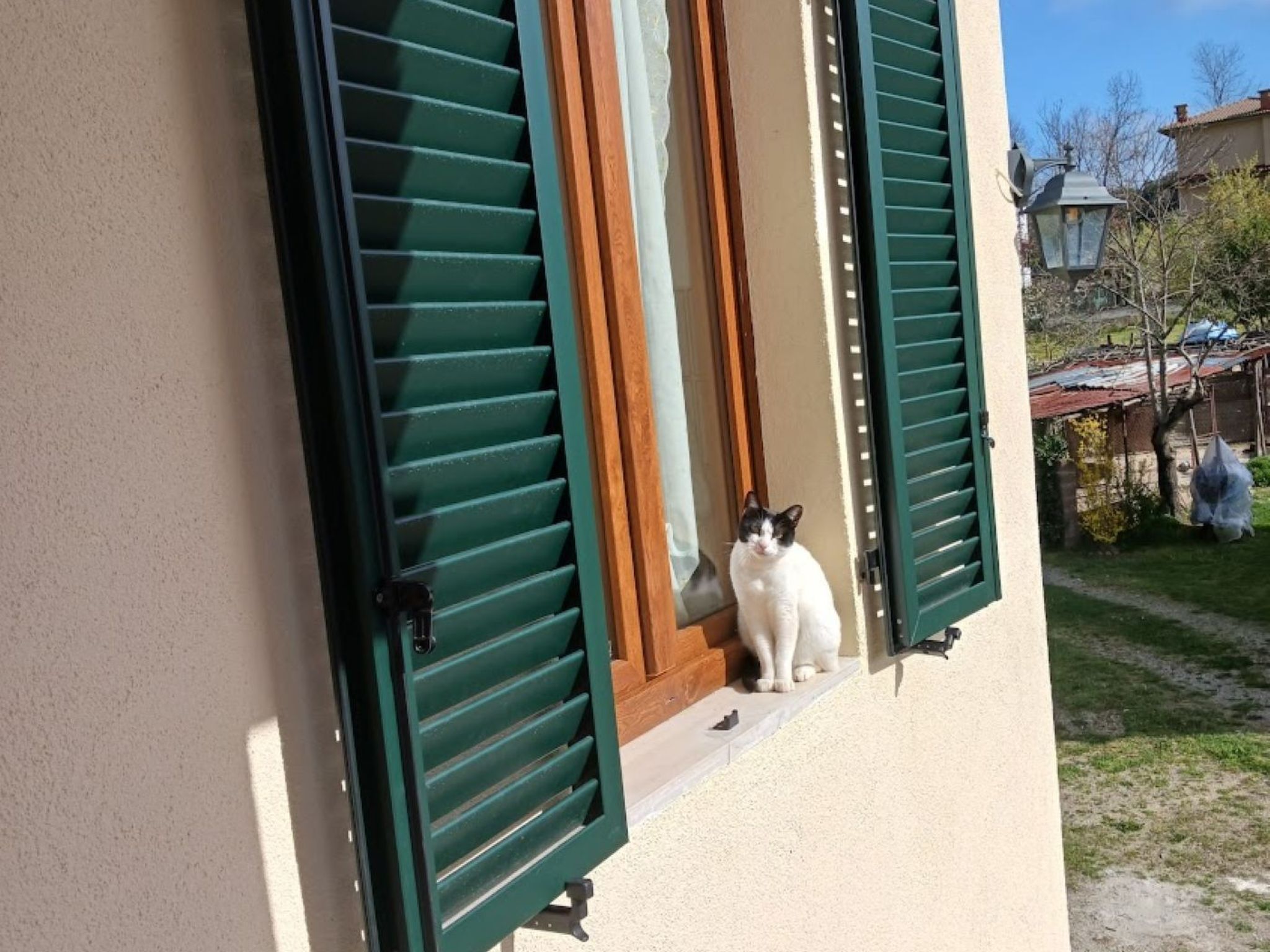 Natur, Komfort und Entspannung-Outside