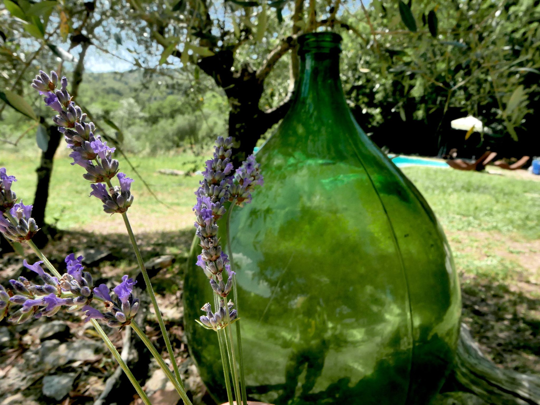 Charmantes Ferienhaus in Ciciano mit Grill, Garten und gemeinsamem Pool und Pan-Image-tags.info