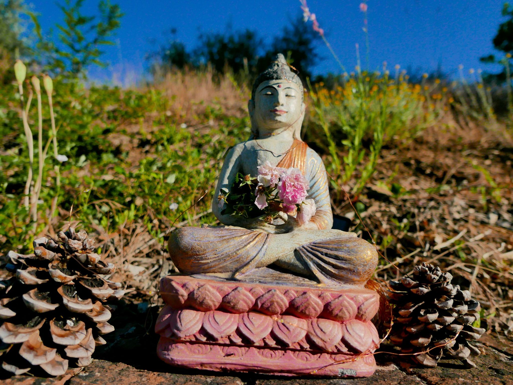 Charmantes Ferienhaus in Ciciano mit Grill, Garten und gemeinsamem Pool und Pan-Image-tags.info