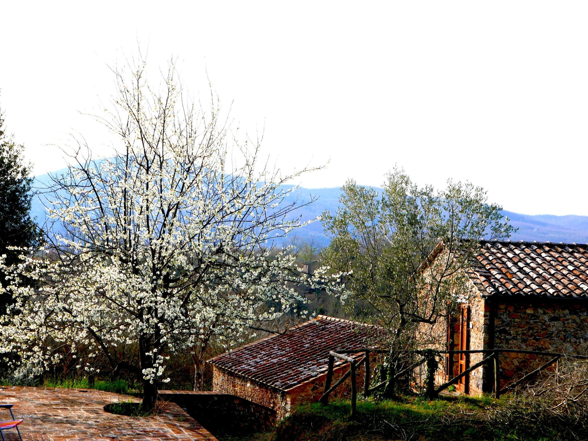 Charmantes Ferienhaus in Ciciano mit Grill, Garten und gemeinsamem Pool und Pan-Image-tags.info