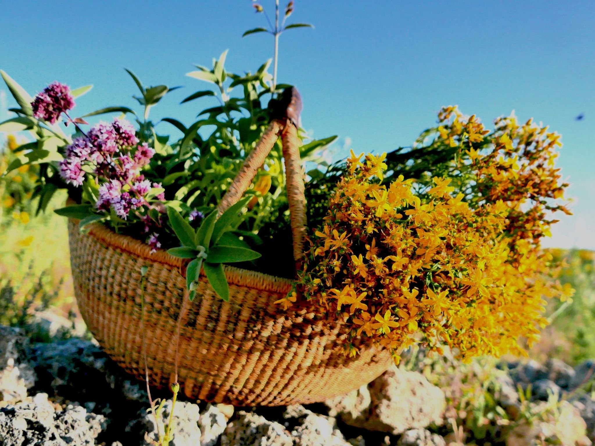 Charmantes Ferienhaus in Ciciano mit Grill, Garten und gemeinsamem Pool und Pan-Image-tags.info