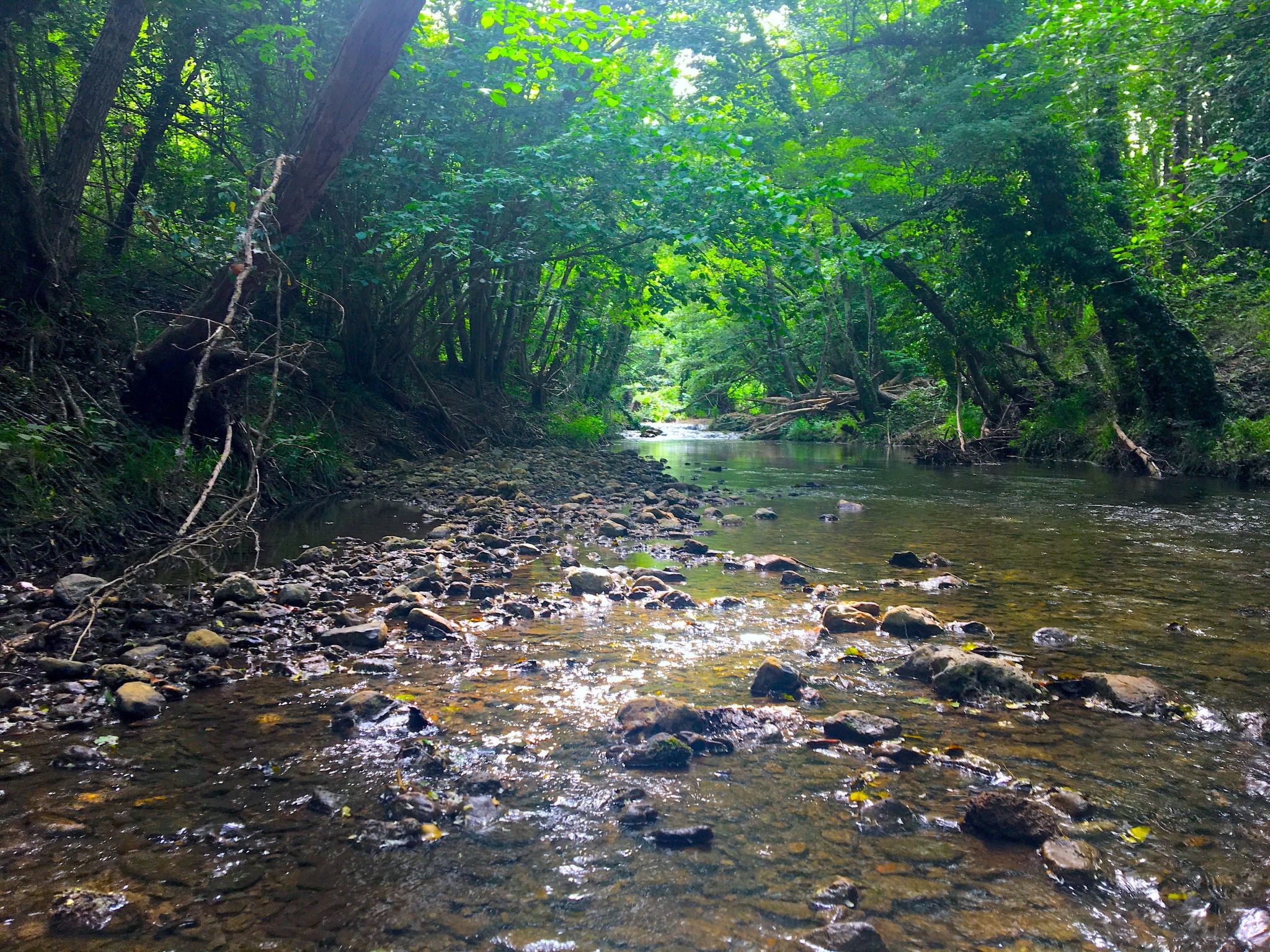 Charmantes Ferienhaus in Ciciano mit Grill, Garten und gemeinsamem Pool und Pan-Image-tags.info