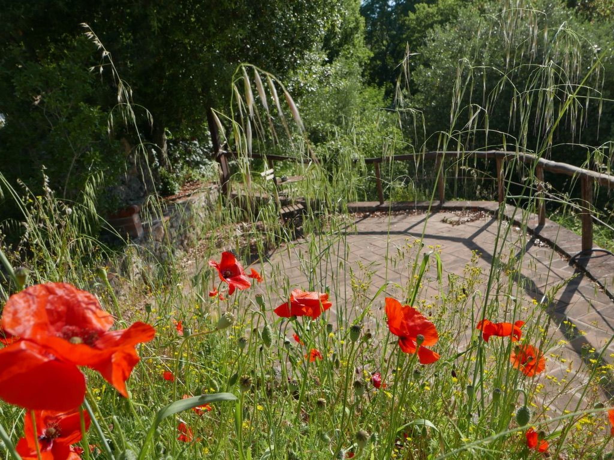 Charmantes Ferienhaus in Ciciano mit Grill, Garten und gemeinsamem Pool und Pan-Image-tags.info