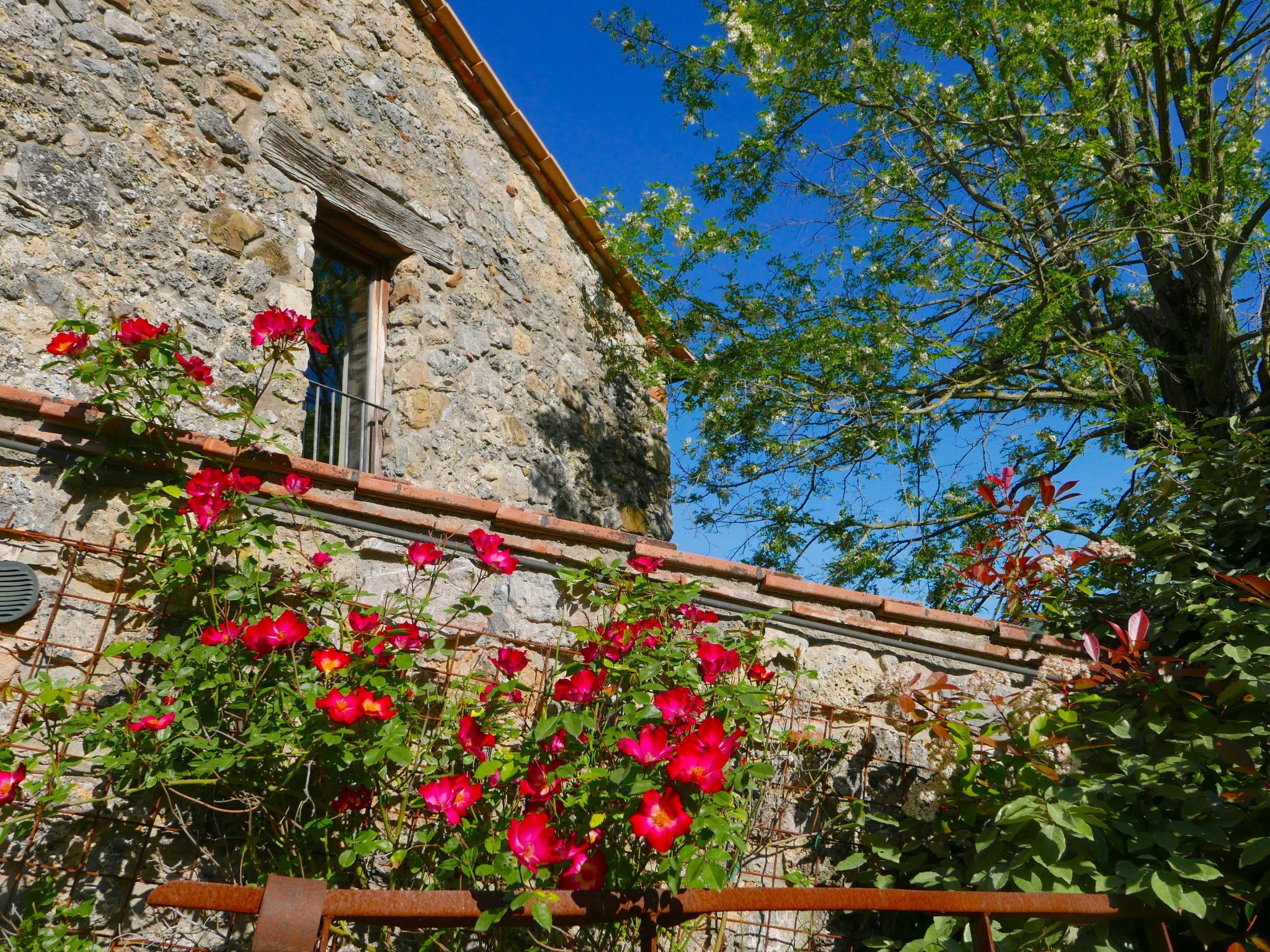 Ruhiges Ferienhaus mit Garten und Panoramablick - Image-tags.info