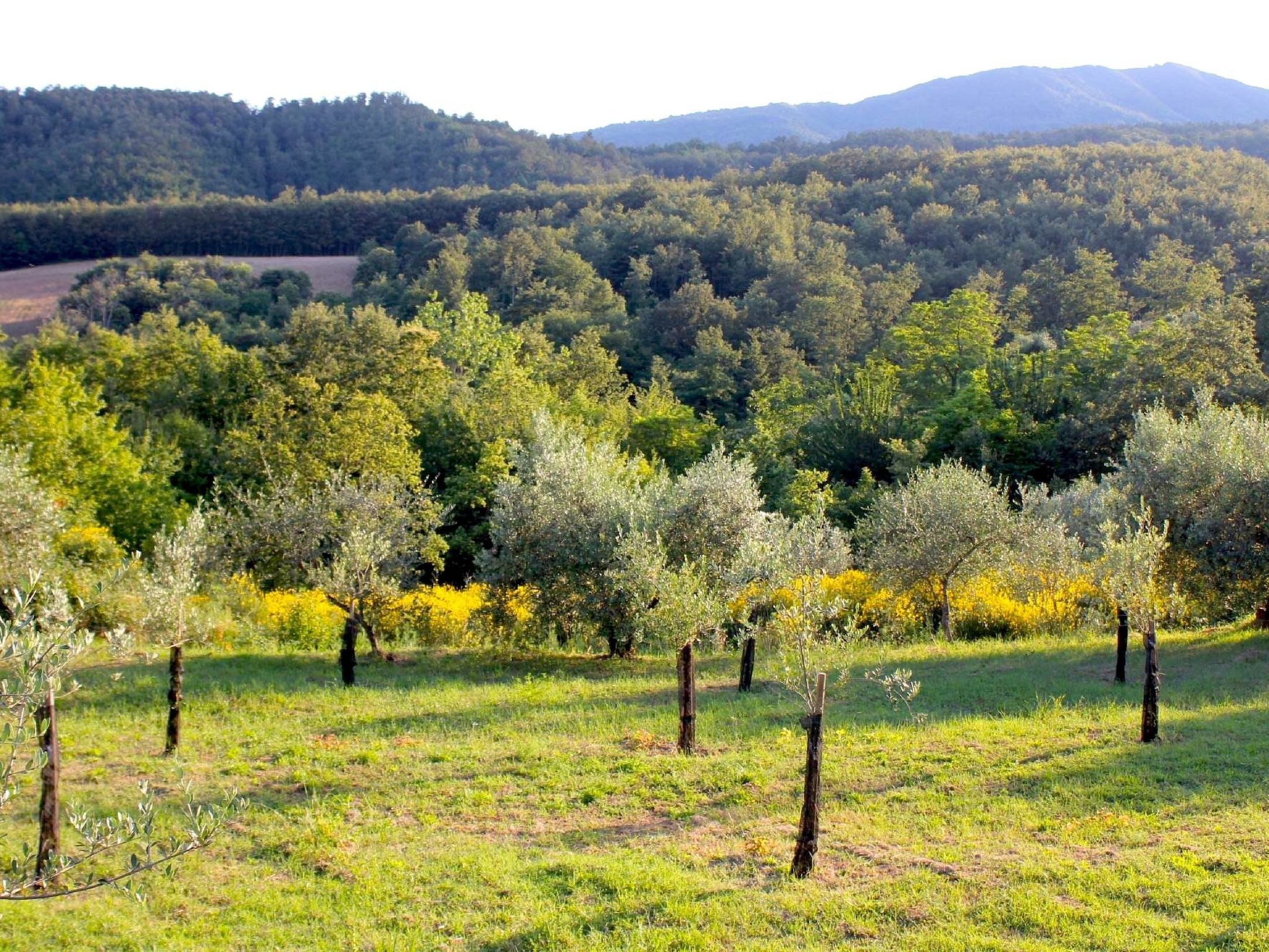 Ruhiges Ferienhaus mit Garten und Panoramablick - Image-tags.info
