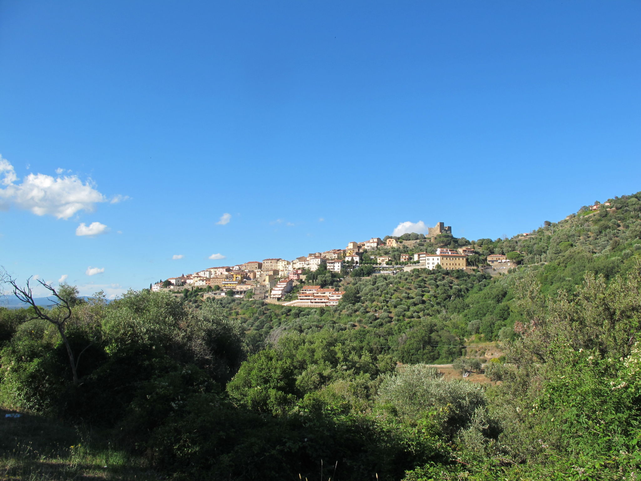Tra mare e campagna - Area