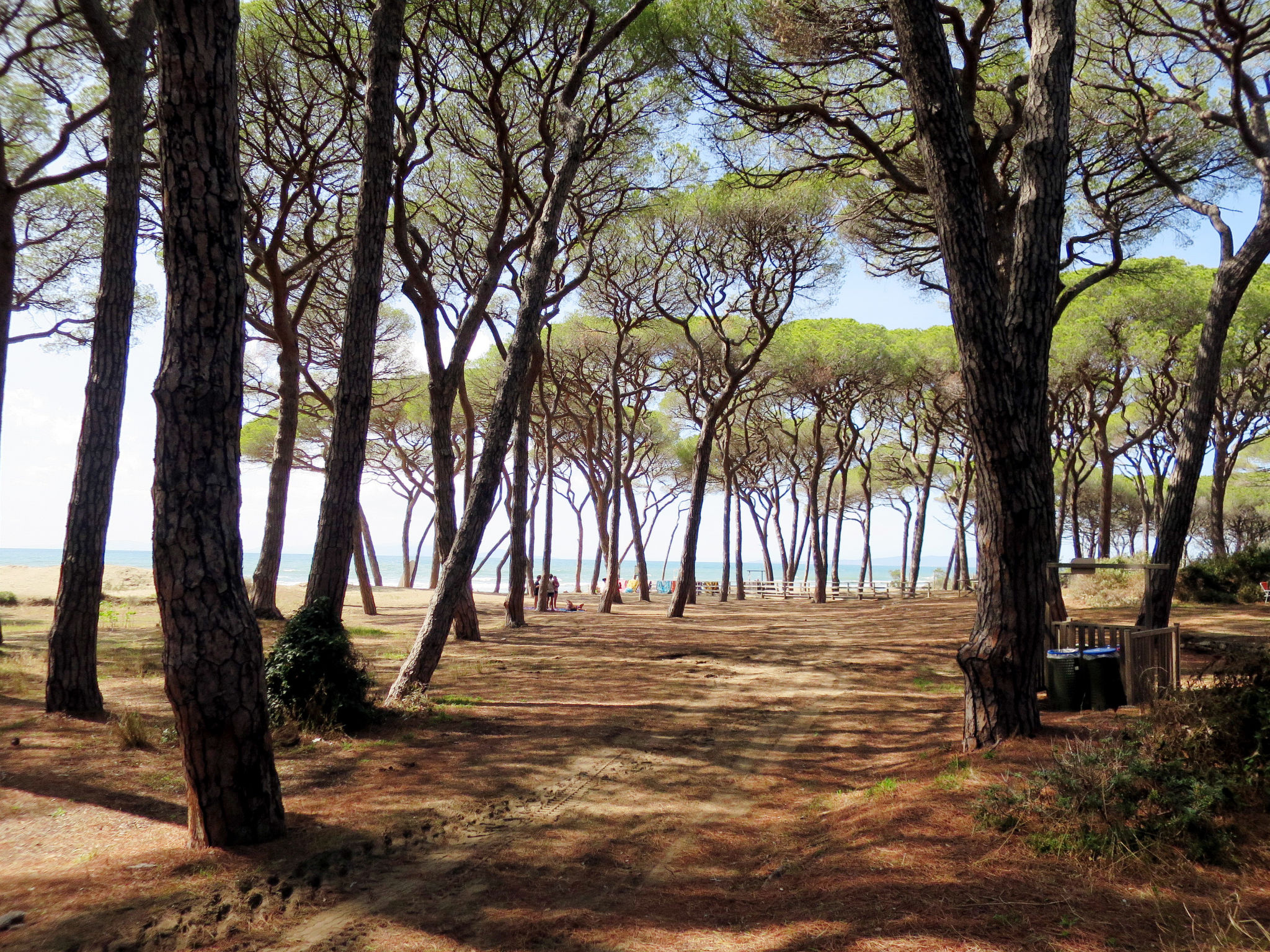 Maison Trilocale - Ranch Hotel – Plage, photo 38 sur 42