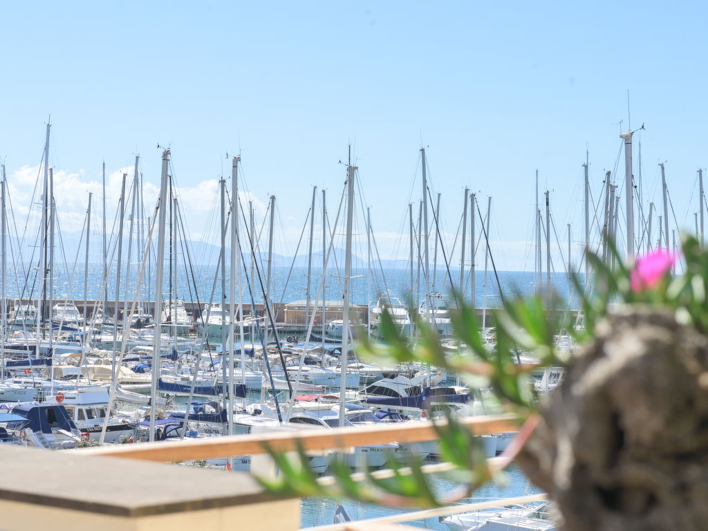 La Marina — View