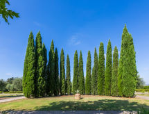 Appartamento Quercia Alta