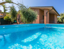 Dom Dream House