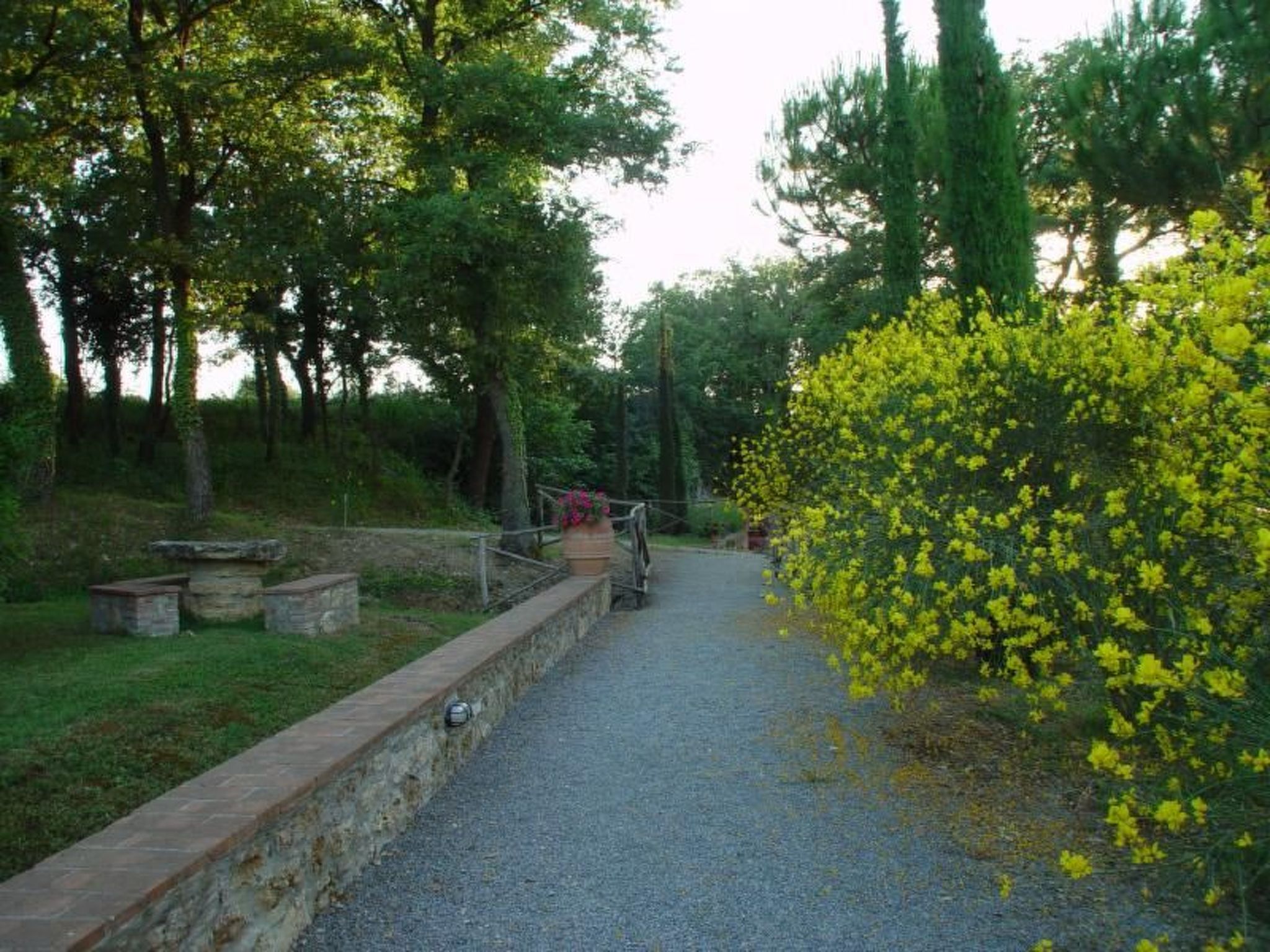 Wohnung in Sarteano mit Privatparkplatz-Draußen