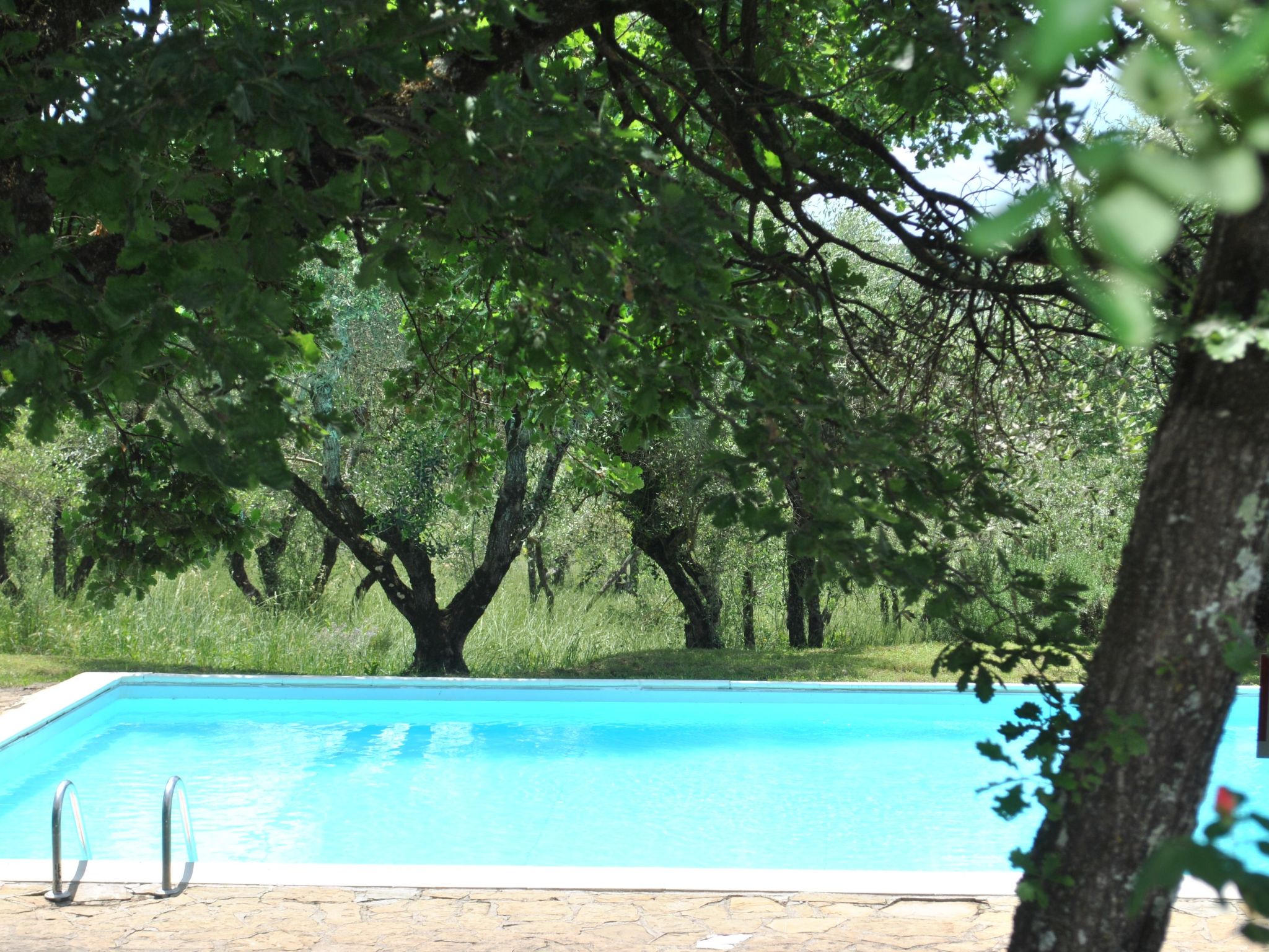 Wohnung mit Garten in Barberino Tavarnelle-Binnen
