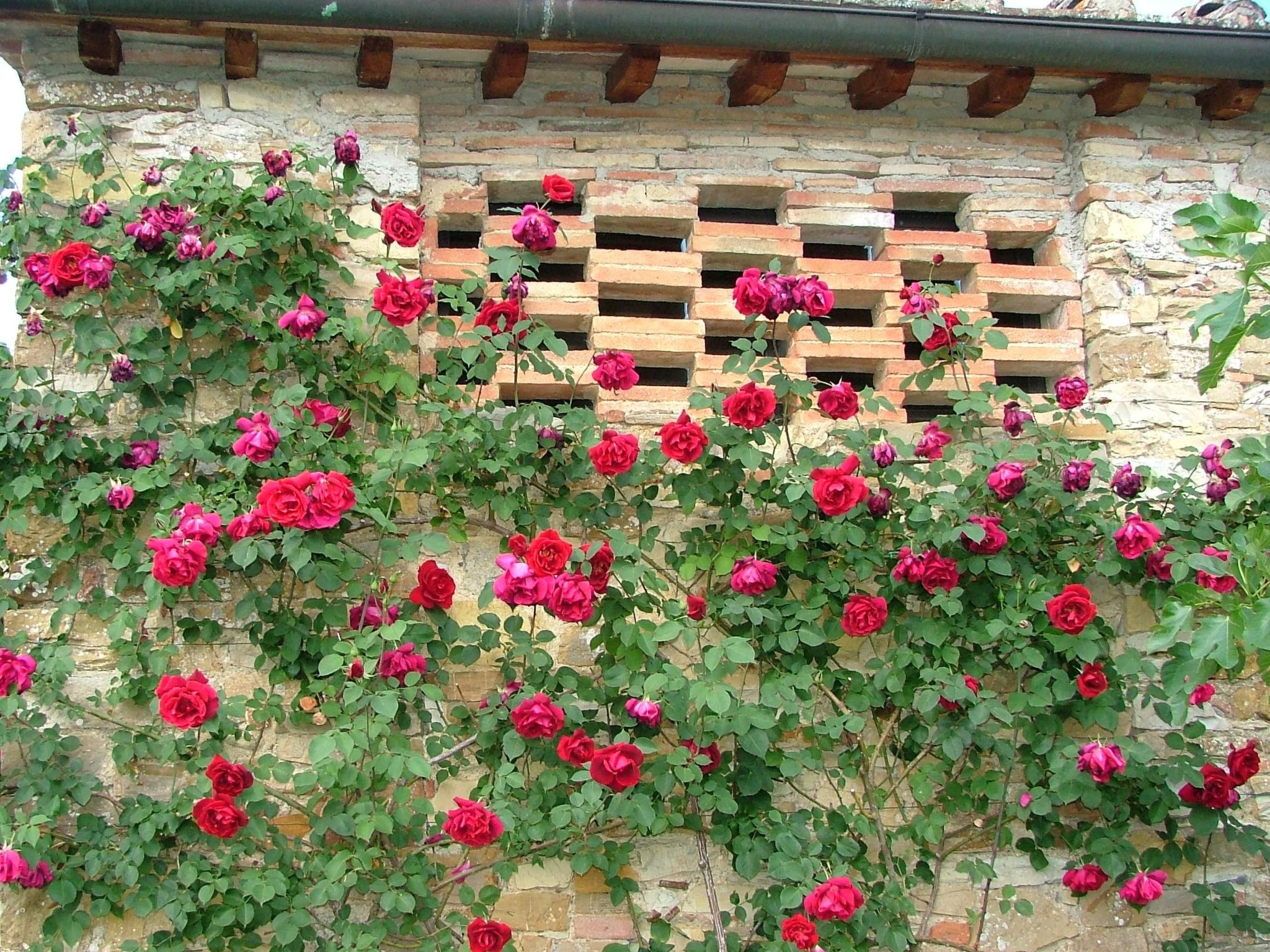 Wohnung mit Garten in Barberino Tavarnelle-Binnen