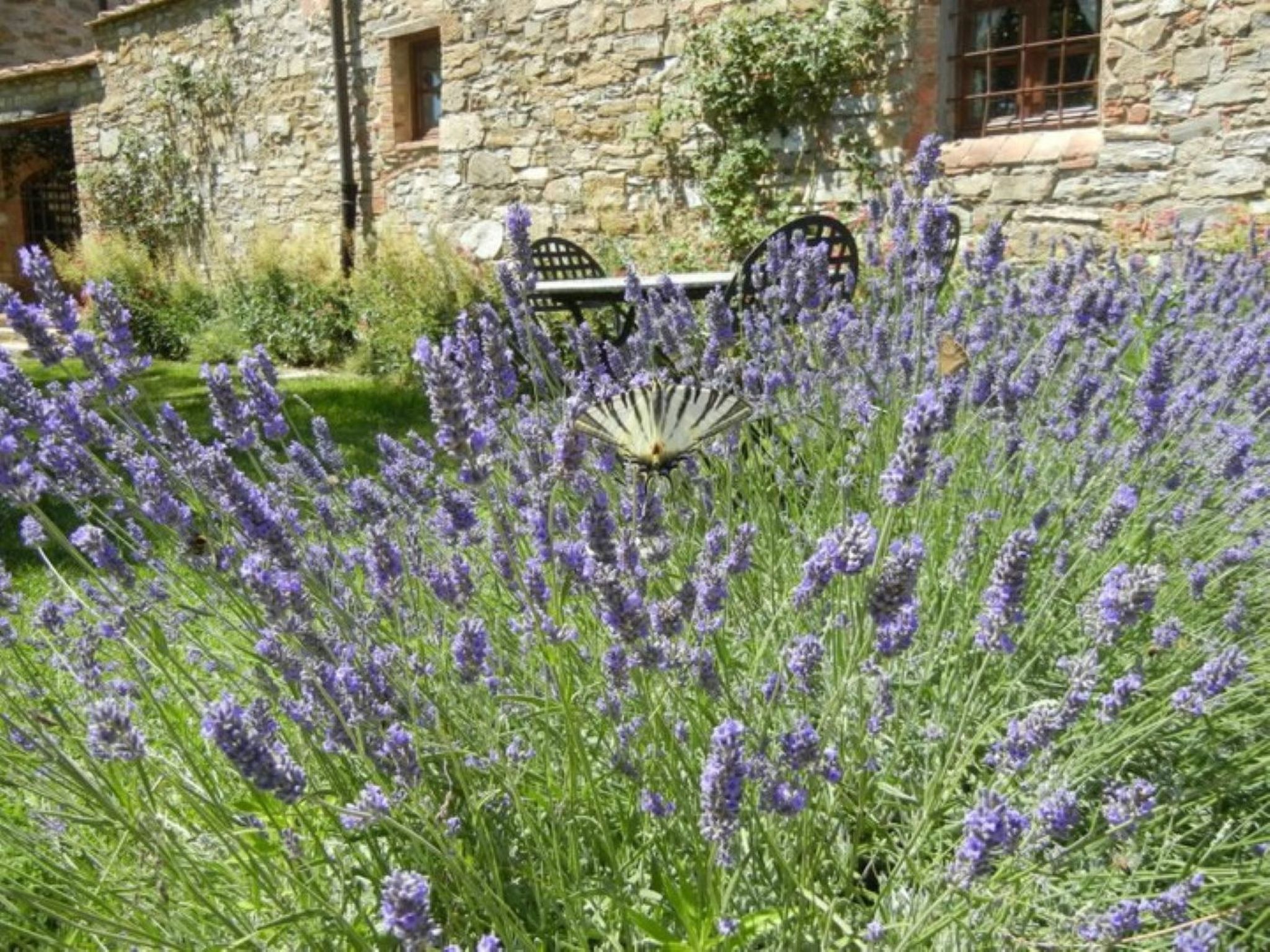 Apartment Lavanda 1 mit Veranda-Binnen
