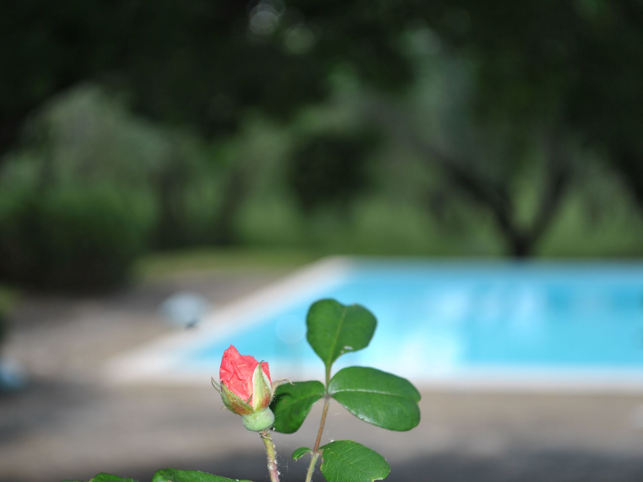 Sage' Anwesen mit Gemeinschaftspool-Drinnen