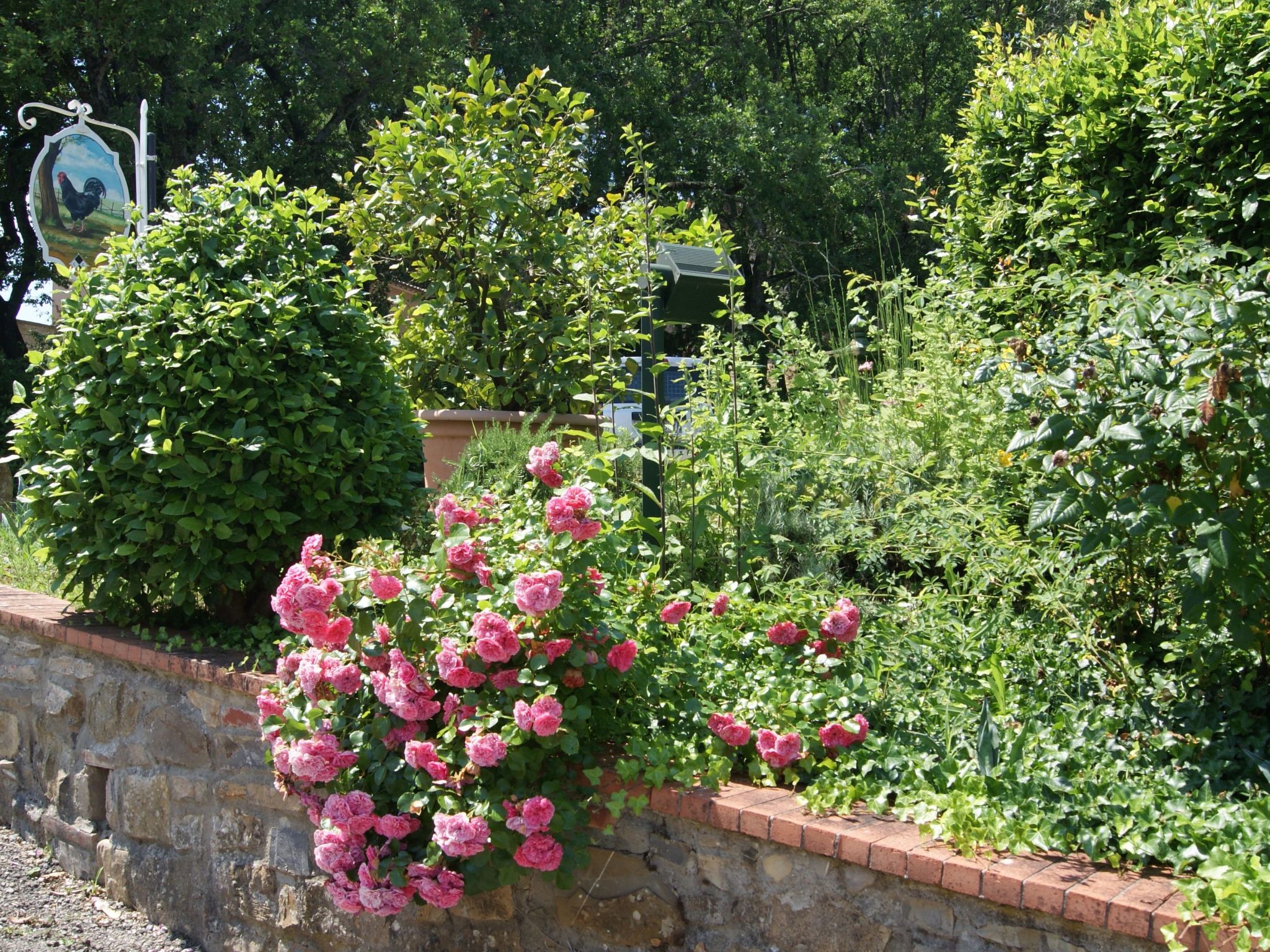 Wohnung mit Privatparkplatz und schöner Aussicht-Image-tags.info