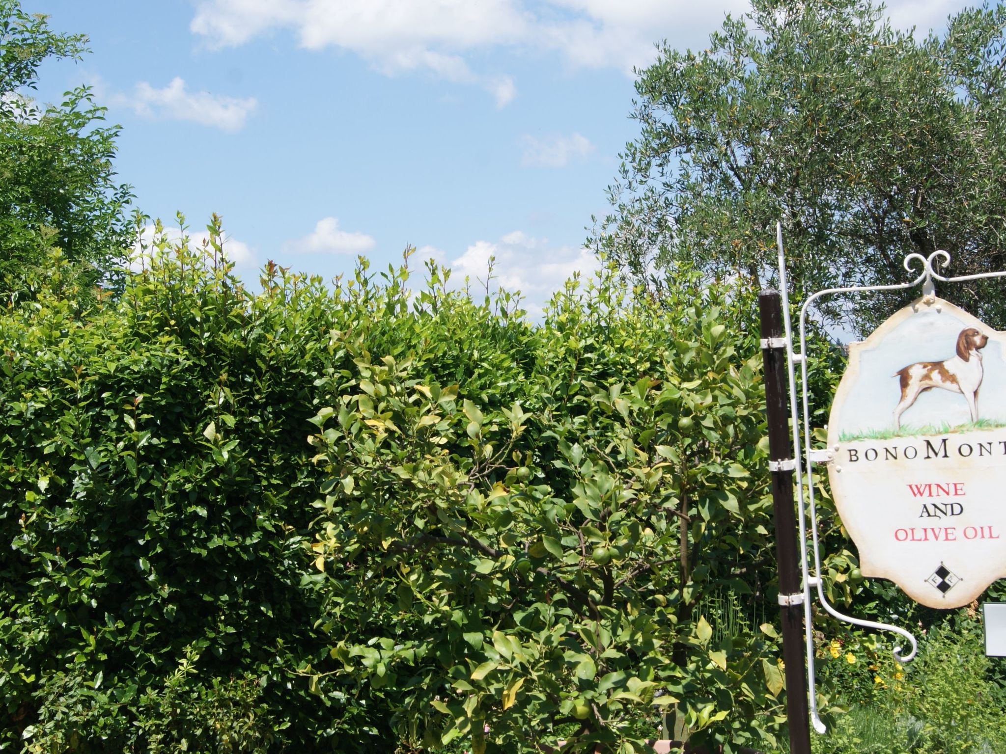 Wohnung mit Privatparkplatz und schöner Aussicht-Image-tags.info