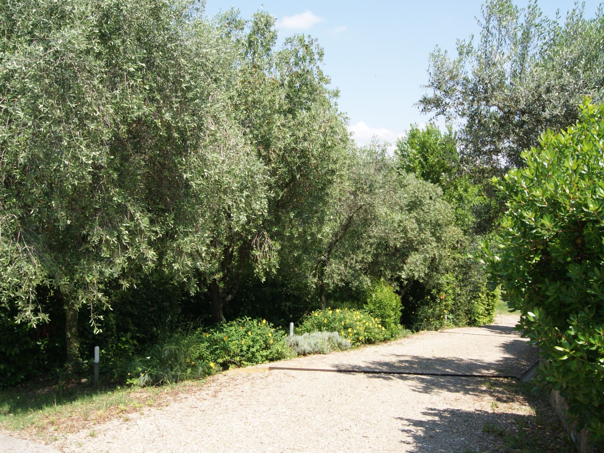 Wohnung mit Privatparkplatz und schöner Aussicht-Image-tags.info