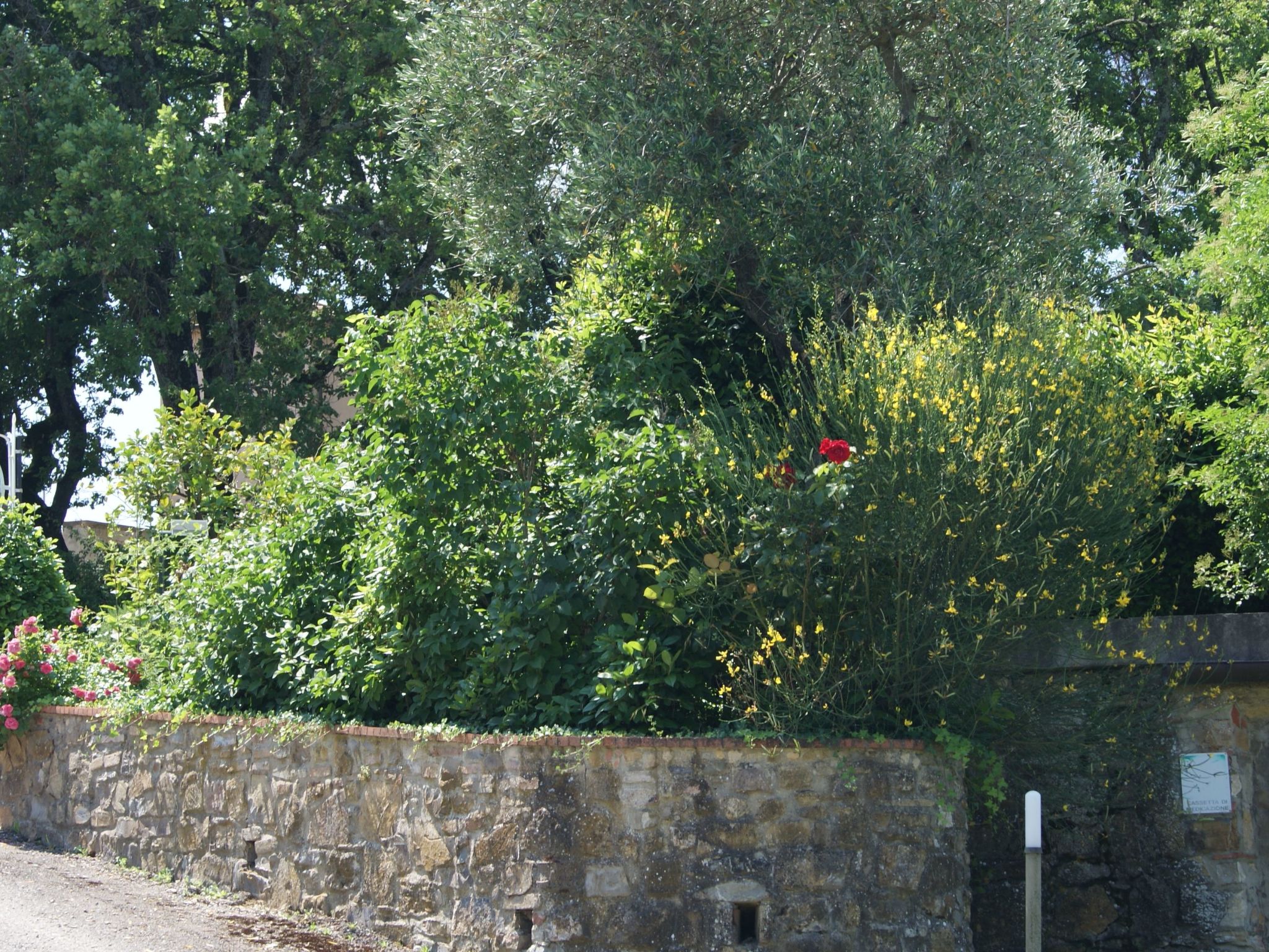 Wohnung mit Privatparkplatz und schöner Aussicht-Image-tags.info