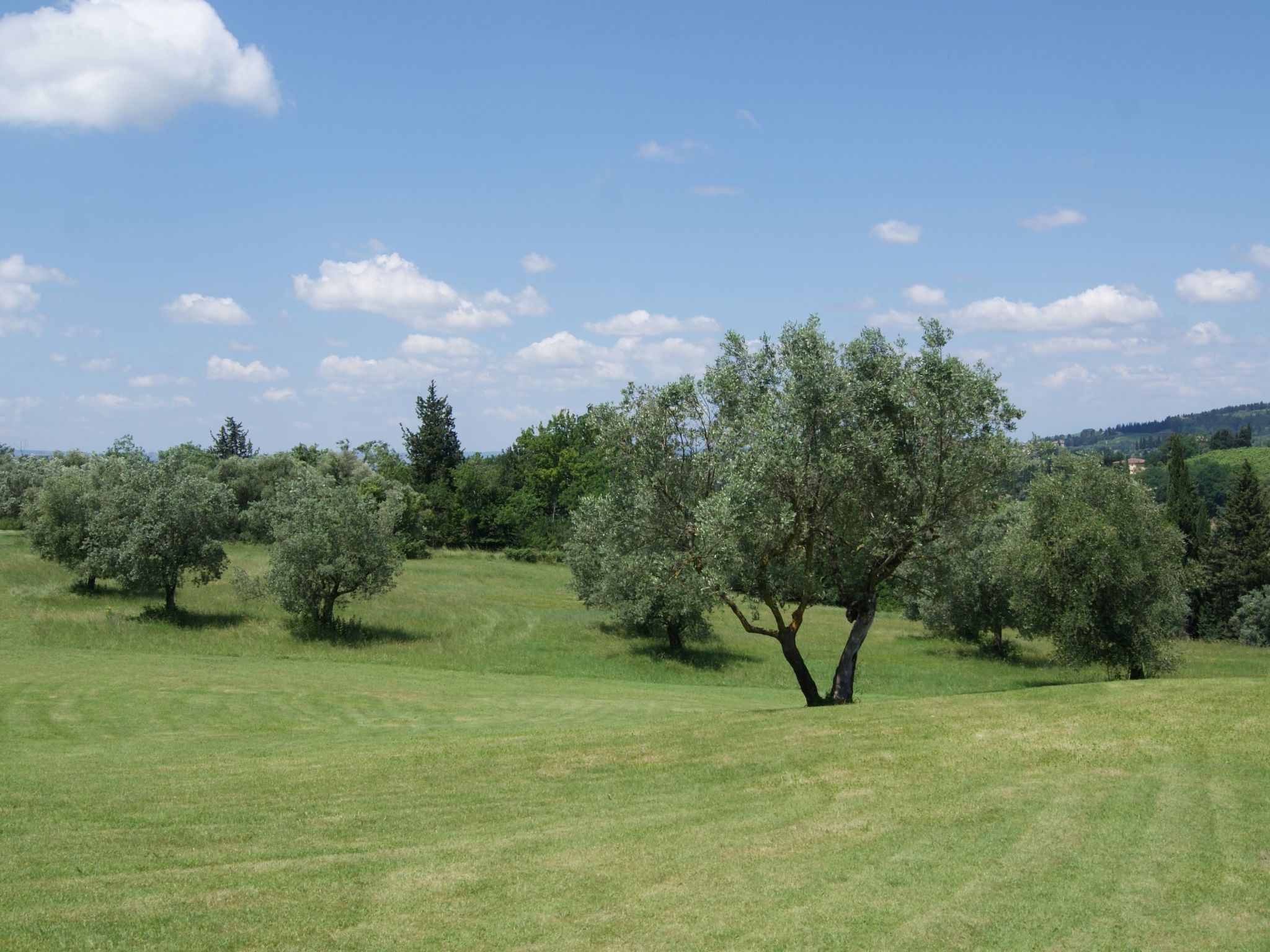 Wohnung mit Privatparkplatz und schöner Aussicht-Image-tags.info