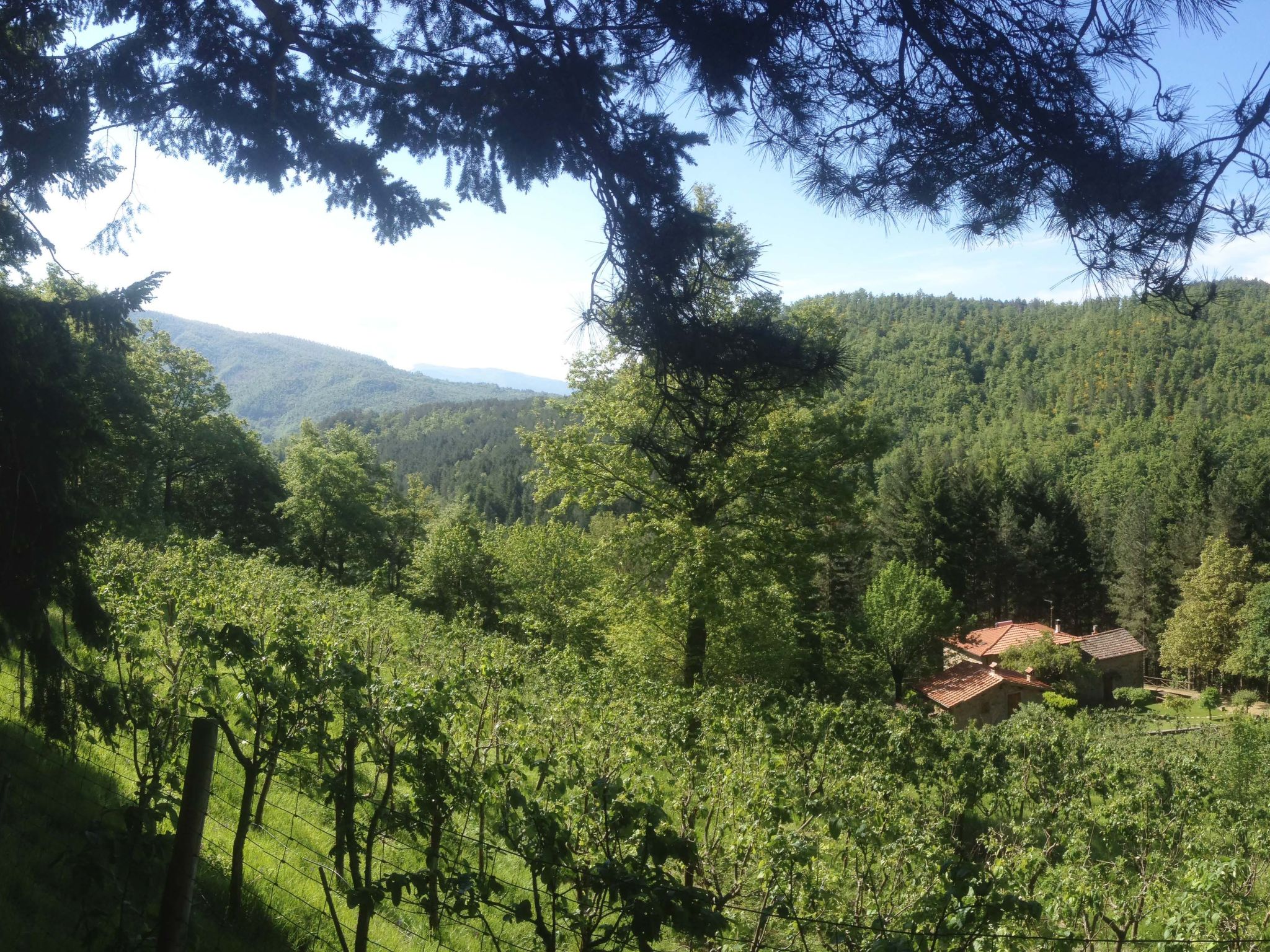 Appartement mit Grill, gemeinsamem Pool und Garten-Image-tags.info