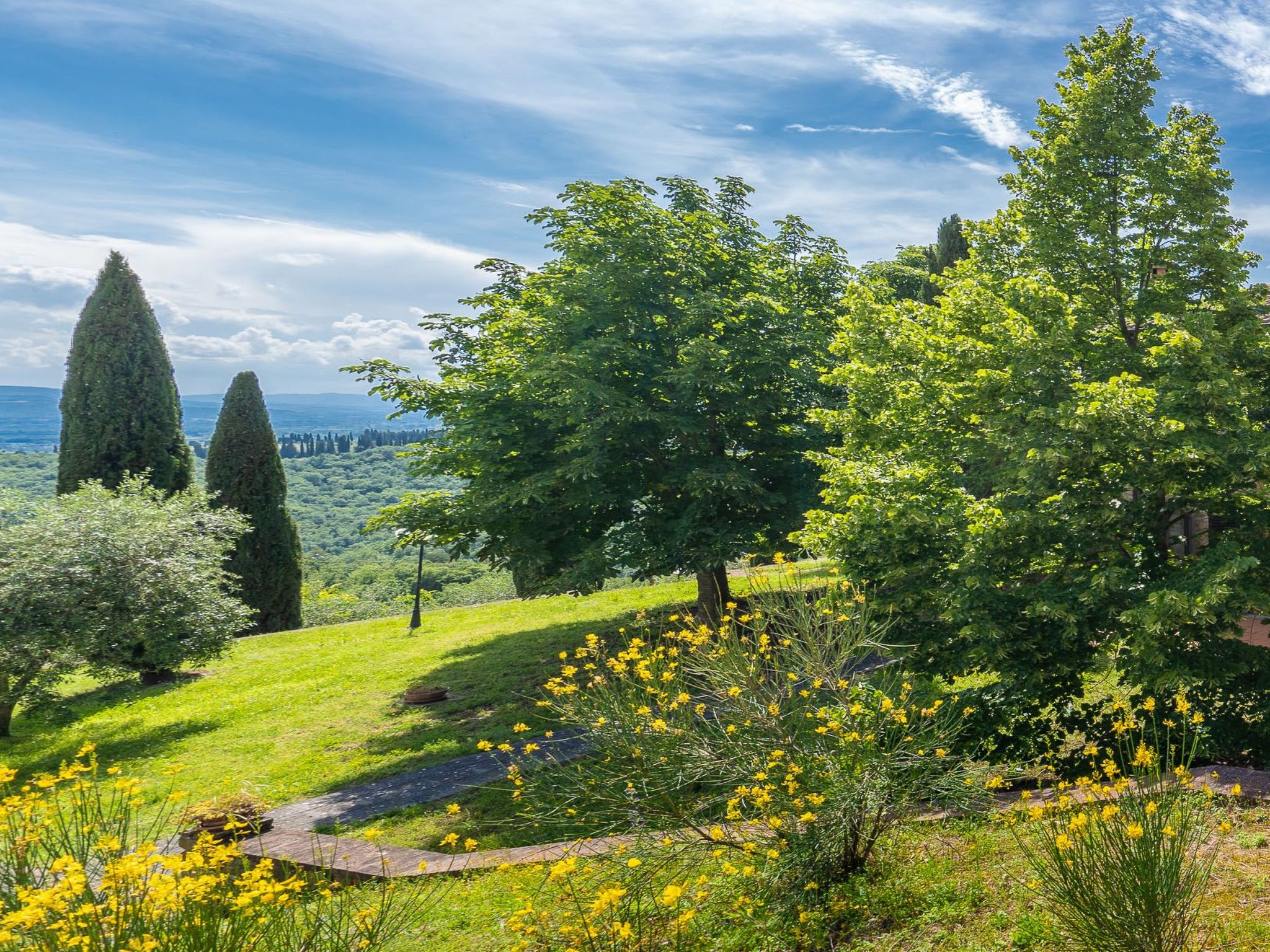 Weingut Le Caselle-Drinnen