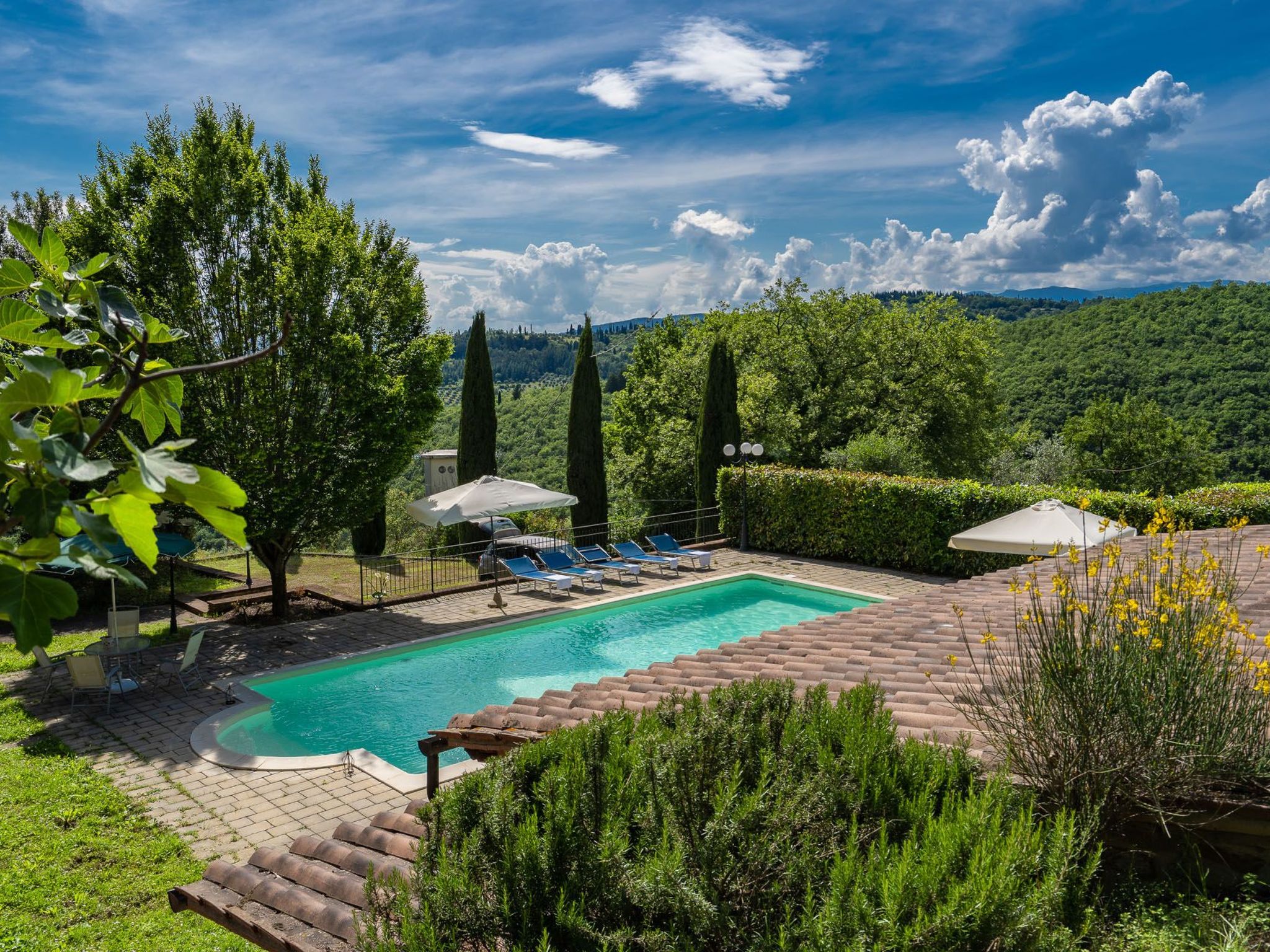 Weingut Le Caselle-Drinnen