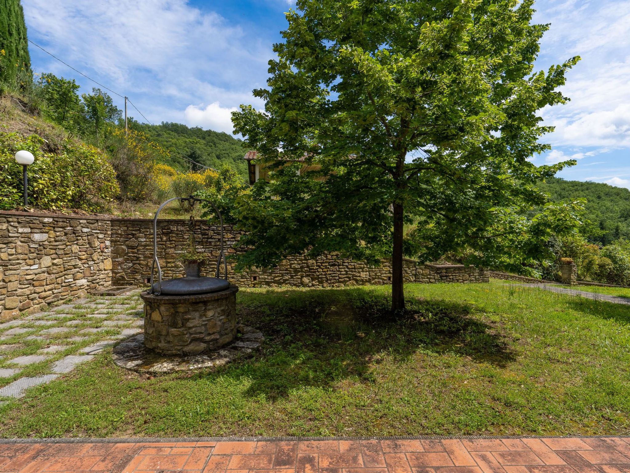 Weingut Le Caselle-Drinnen
