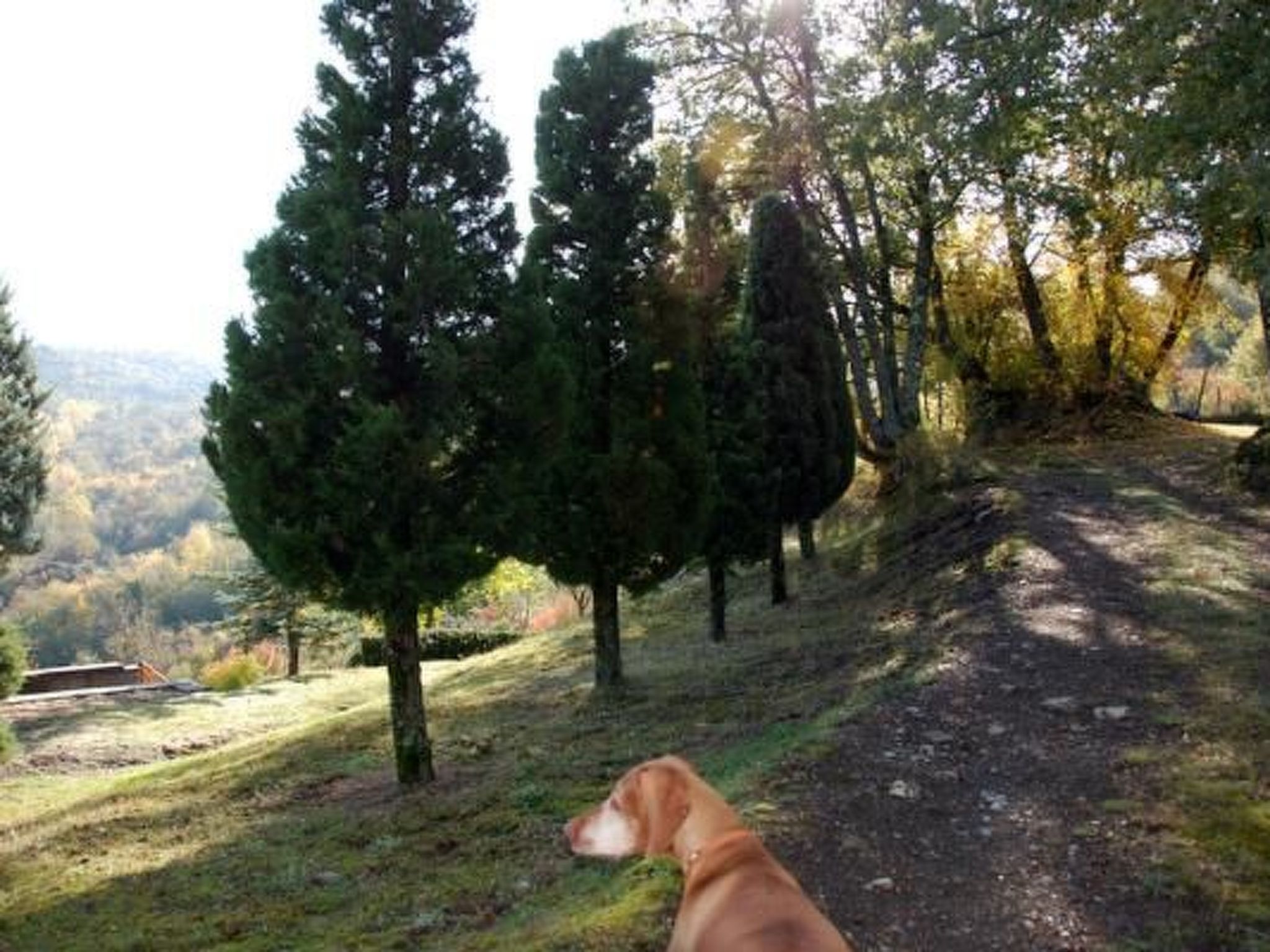 Villa Chimera mit Pool-Binnen