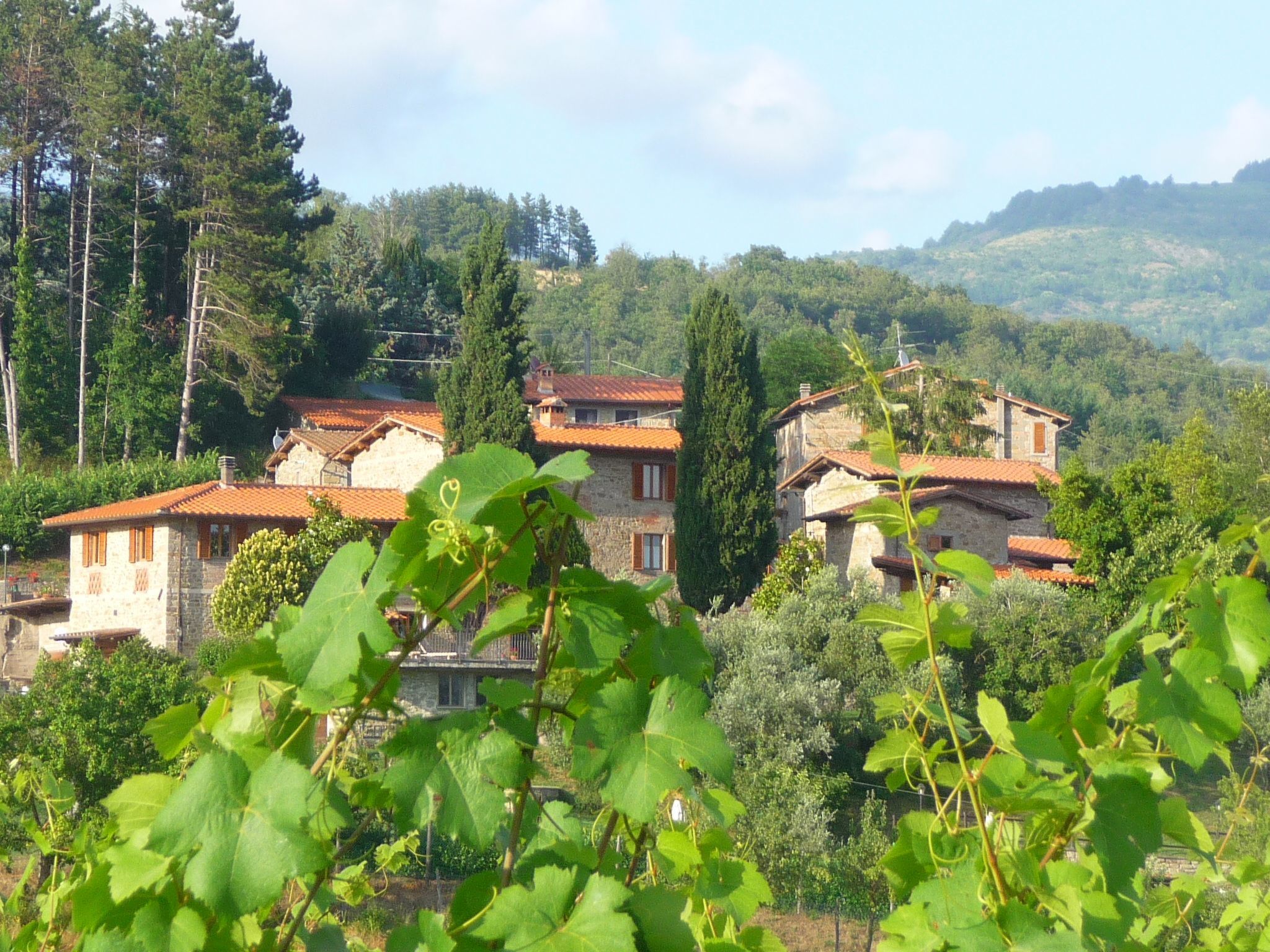 Geranei Haus mit Schwimmbad zwischen Florenz und Arezzo-Binnen