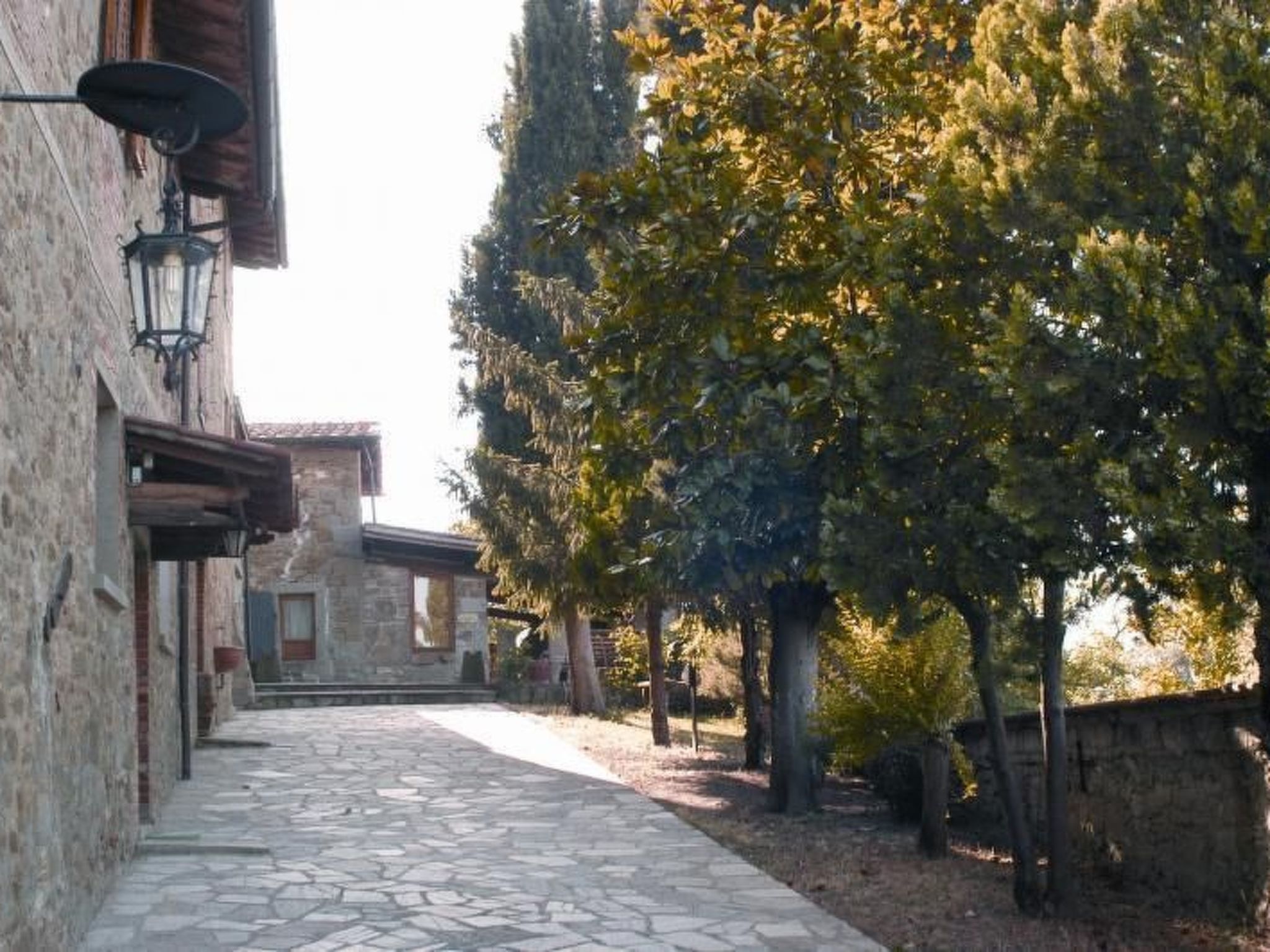 Lindenhaussiedlung mit Gemeinschaftspool-Binnen