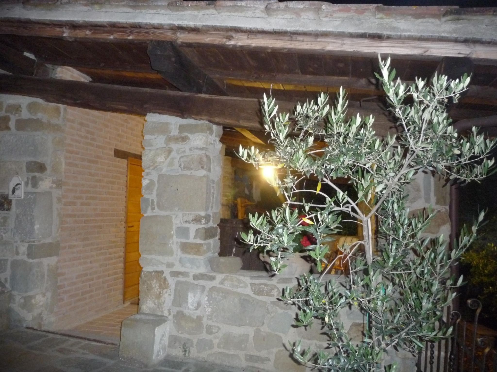 Lindenhaussiedlung mit Gemeinschaftspool-Binnen