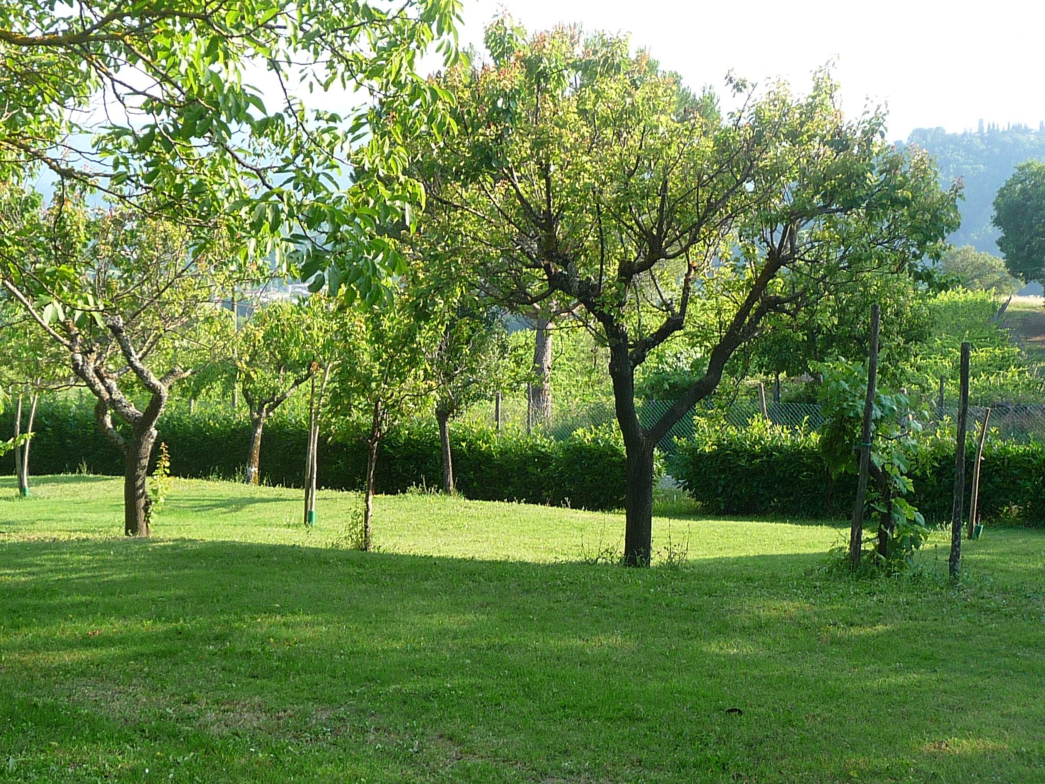 Lindenhaussiedlung mit Gemeinschaftspool-Binnen