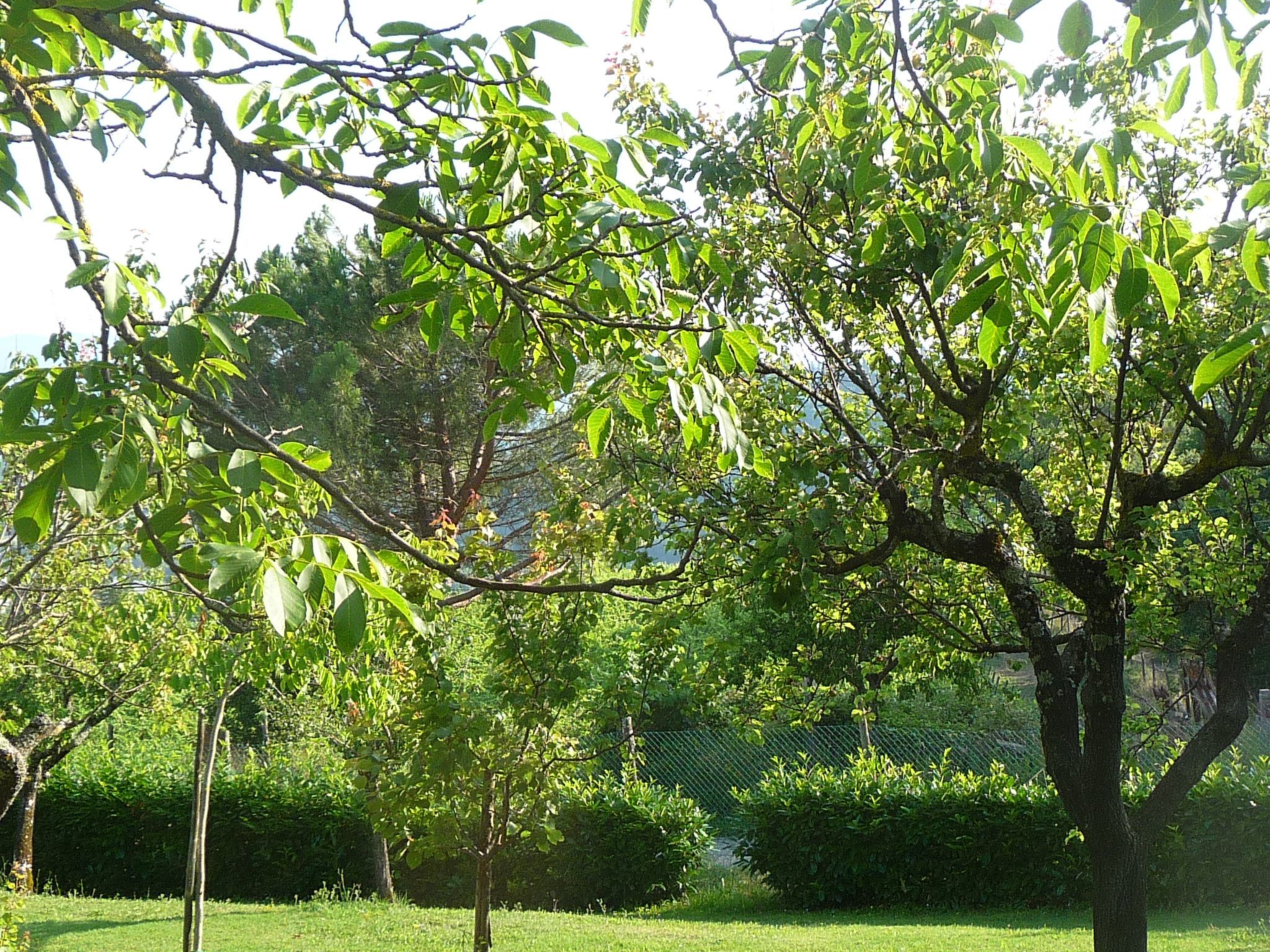 Lindenhaussiedlung mit Gemeinschaftspool-Binnen