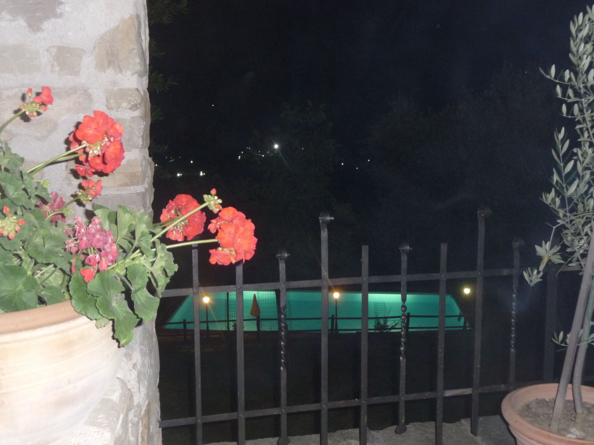 Lindenhaussiedlung mit Gemeinschaftspool-Binnen