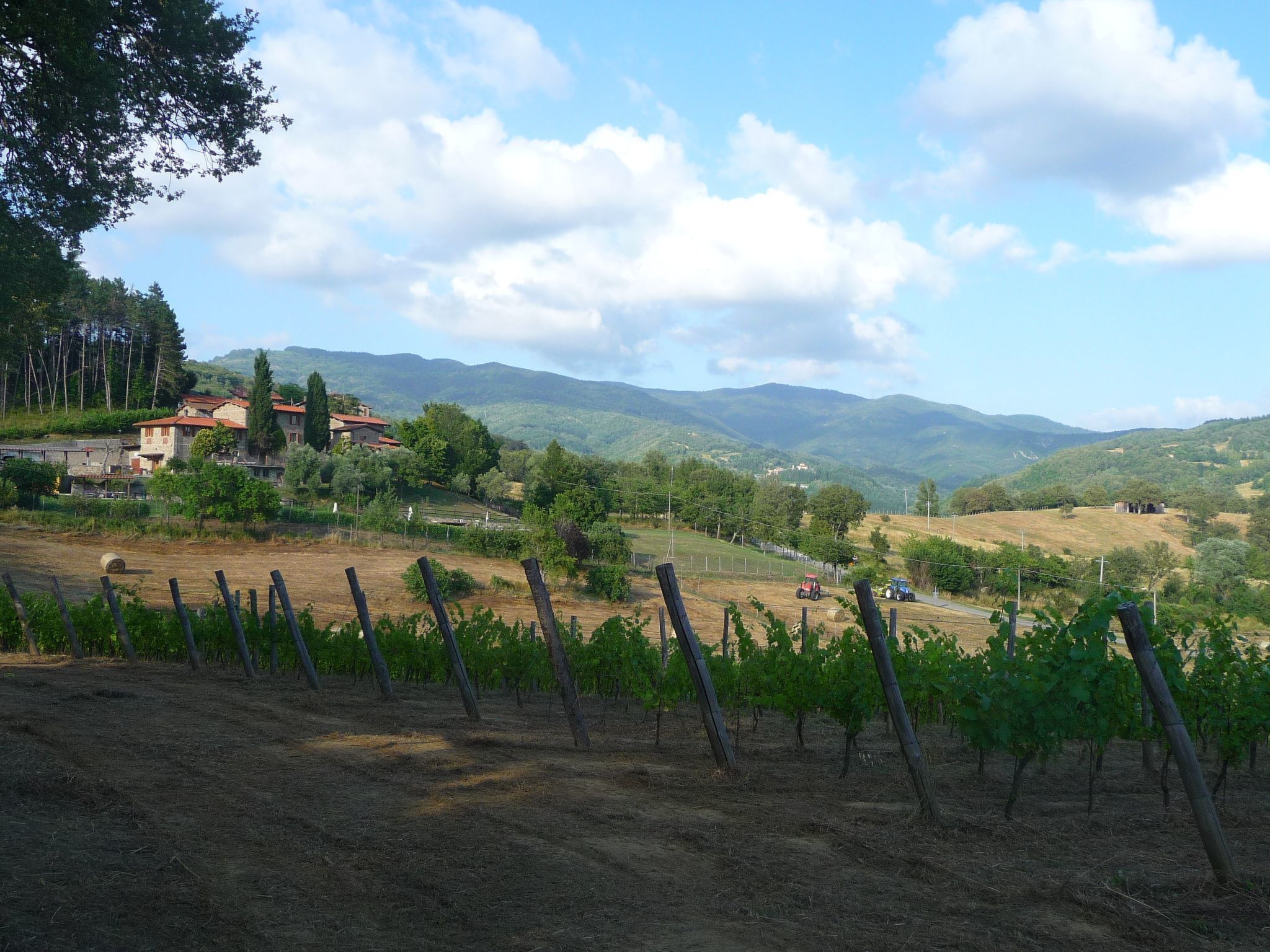 Lindenhaussiedlung mit Gemeinschaftspool-Binnen