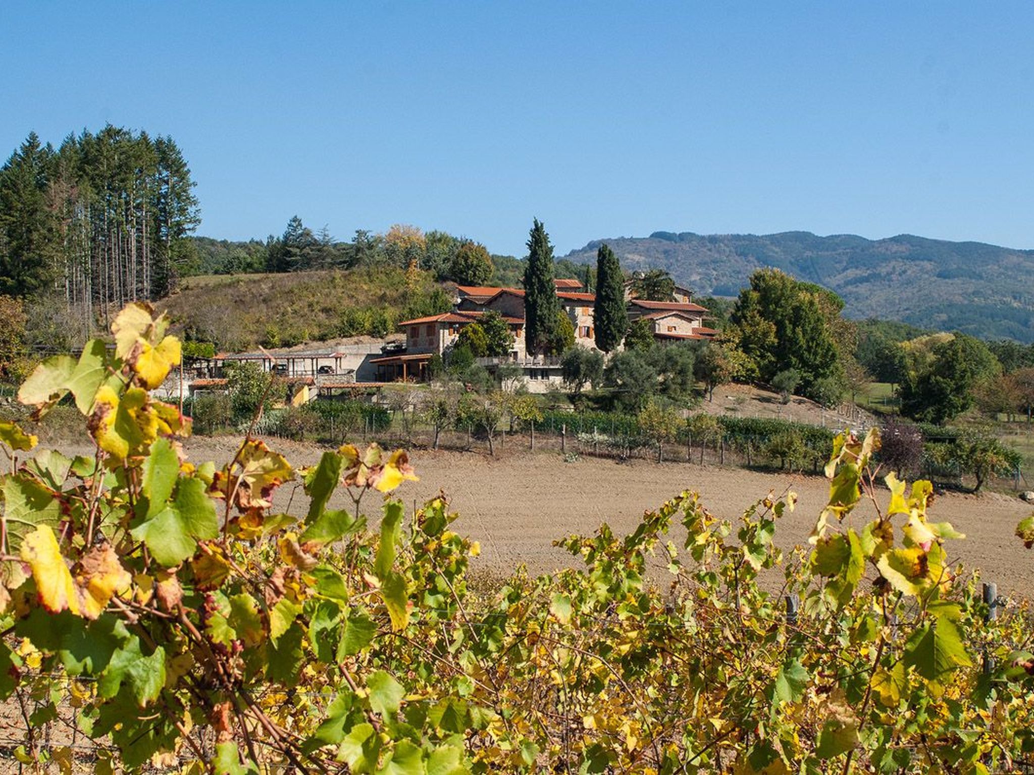 Fichtenhaus mit Schwimmbad zwischen Florenz und Arezzo-Binnen