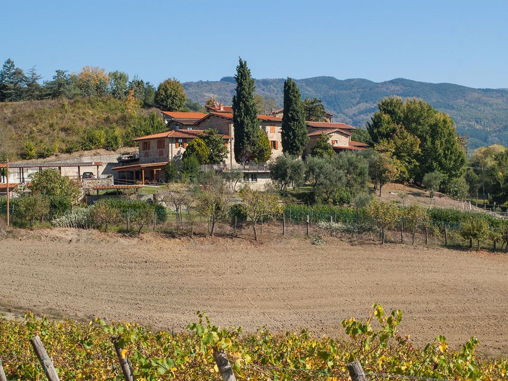 Fichtenhaus mit Schwimmbad zwischen Florenz und Arezzo-Binnen