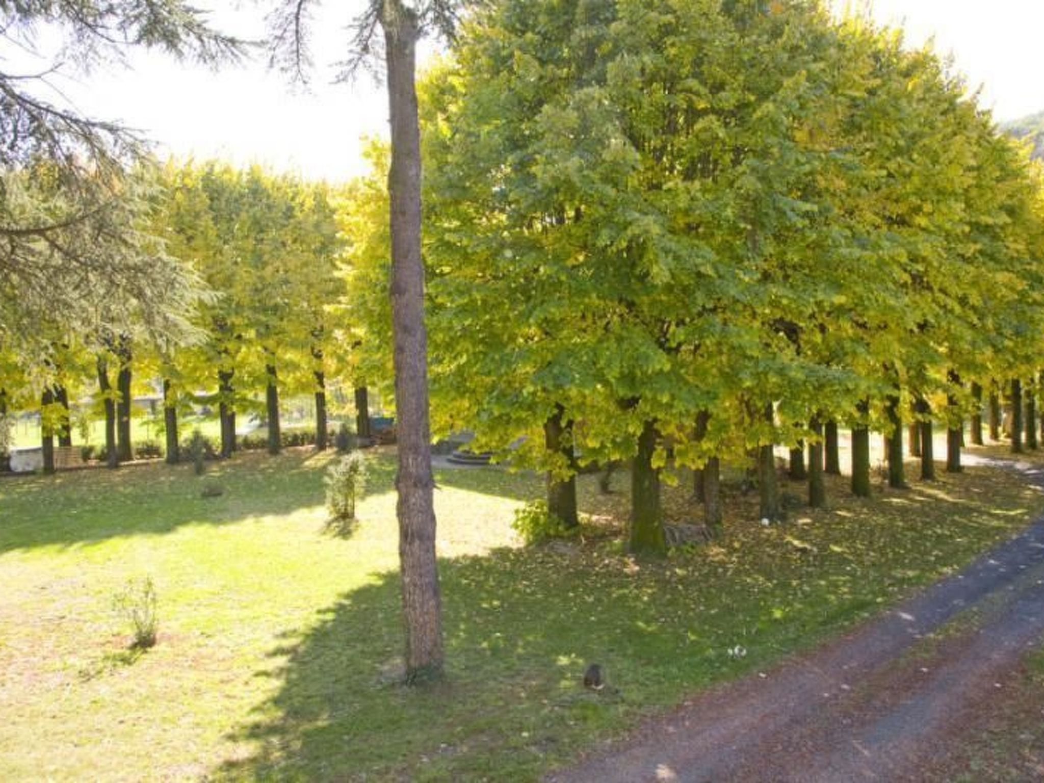 Gemütliches Steinhaus La Casetta-Binnen