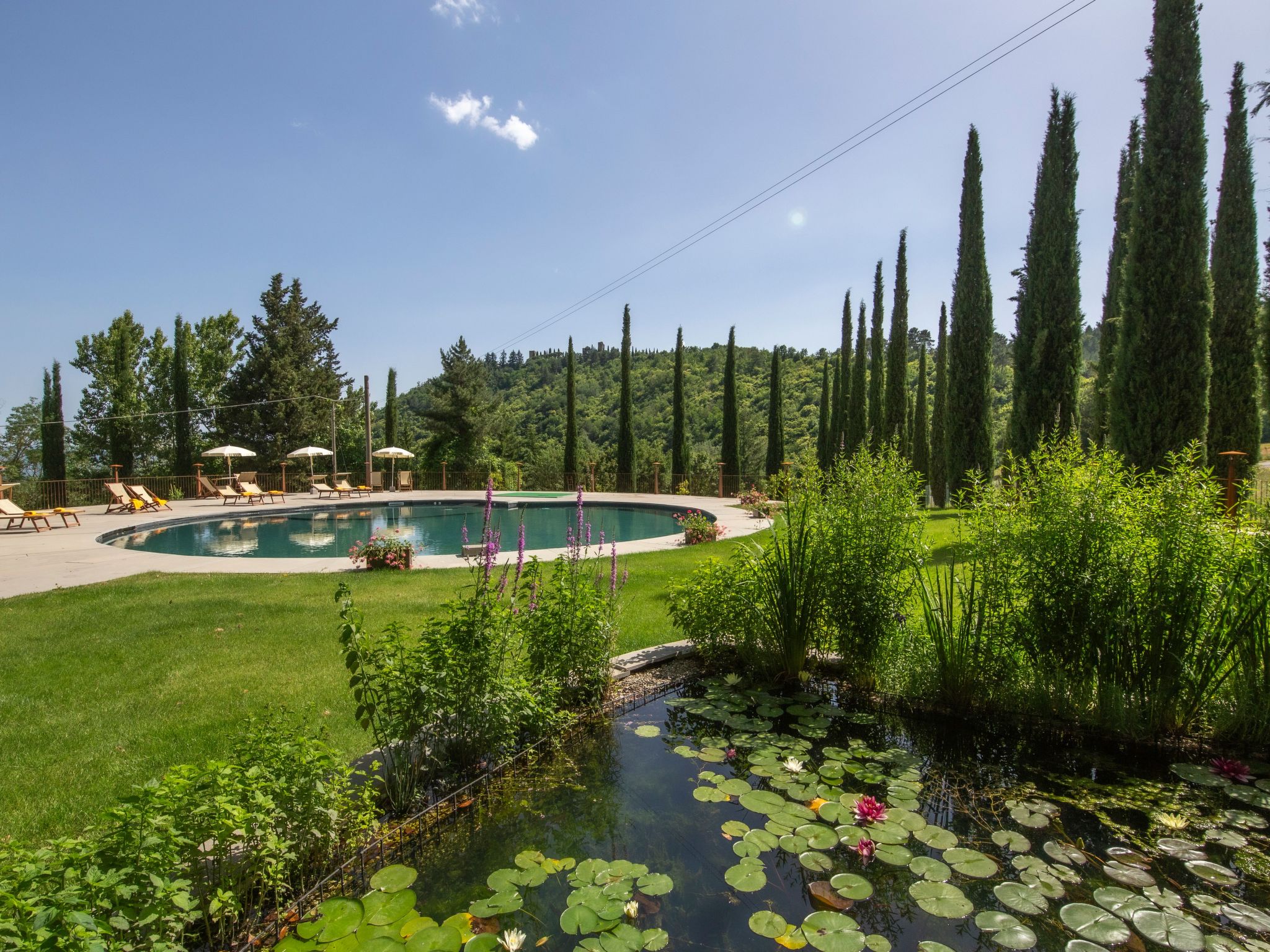 Villa Benfenati genialer Pool, Hochzeit, ganzer Zaun-Drinnen