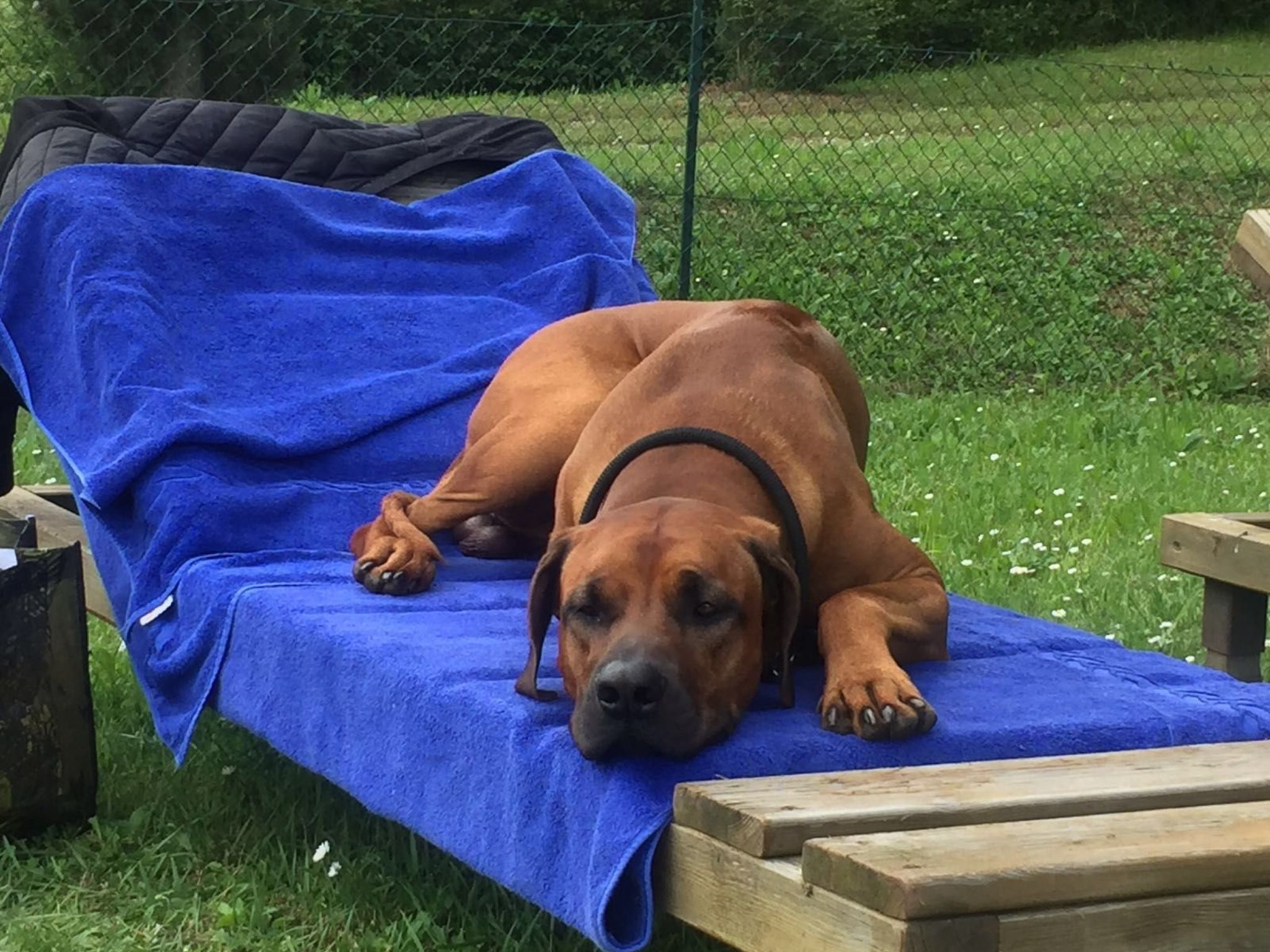 Villa Benfenati genialer Pool, Hochzeit, ganzer Zaun-Drinnen