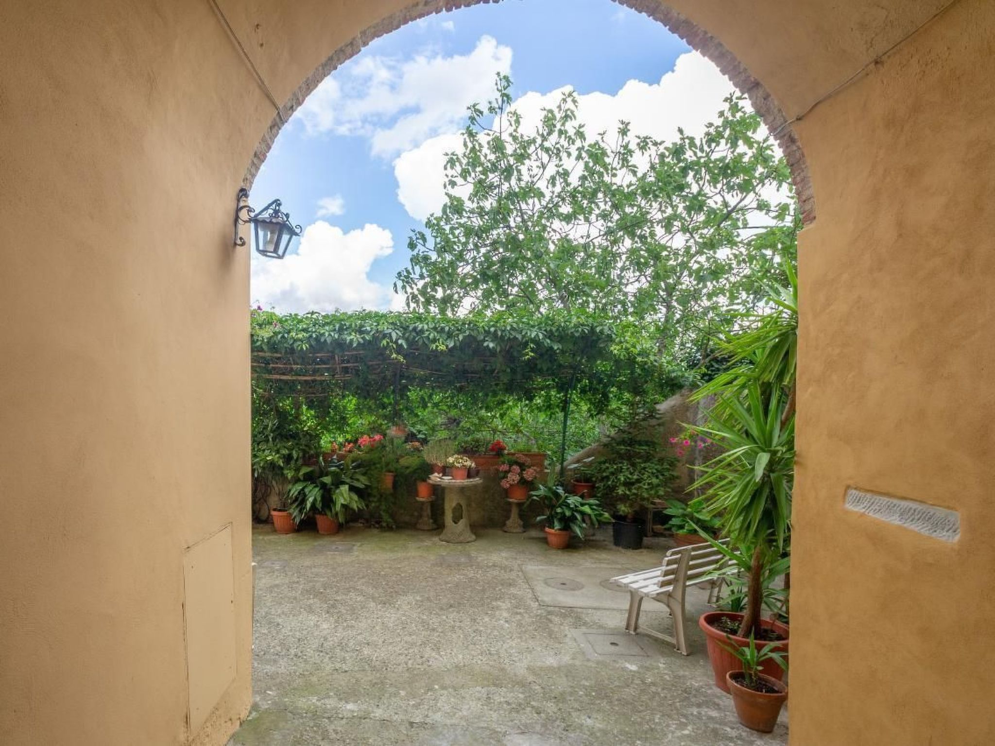 Rosa in der Toskana-Binnen